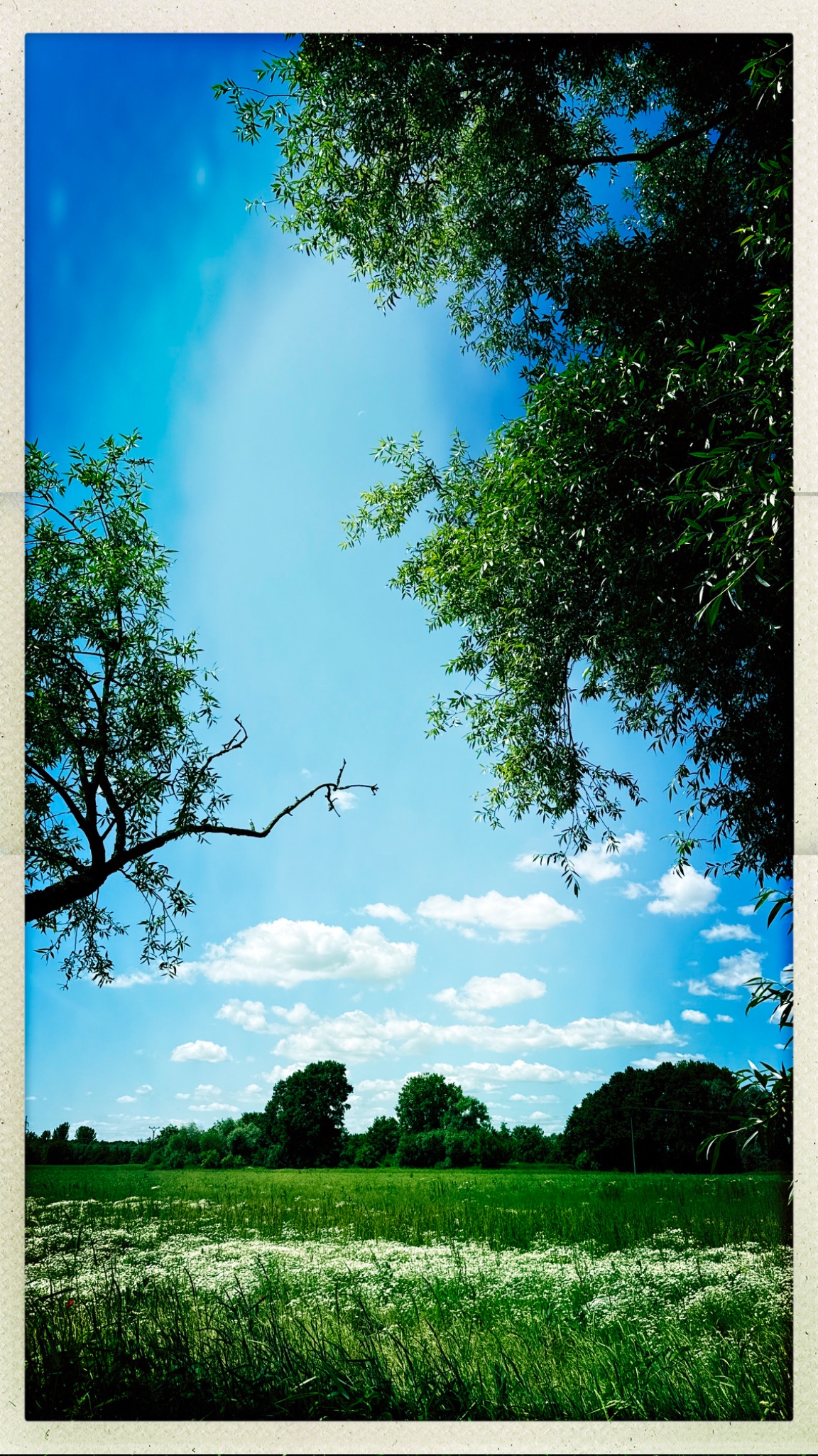 HipstamaticPhoto 772192350.868803