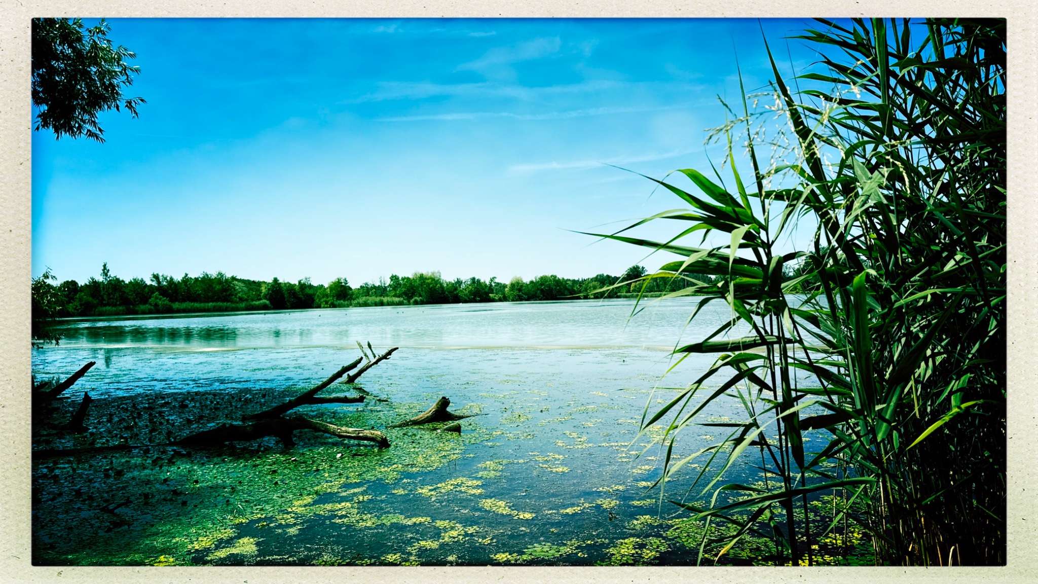 HipstamaticPhoto 773401354.053545