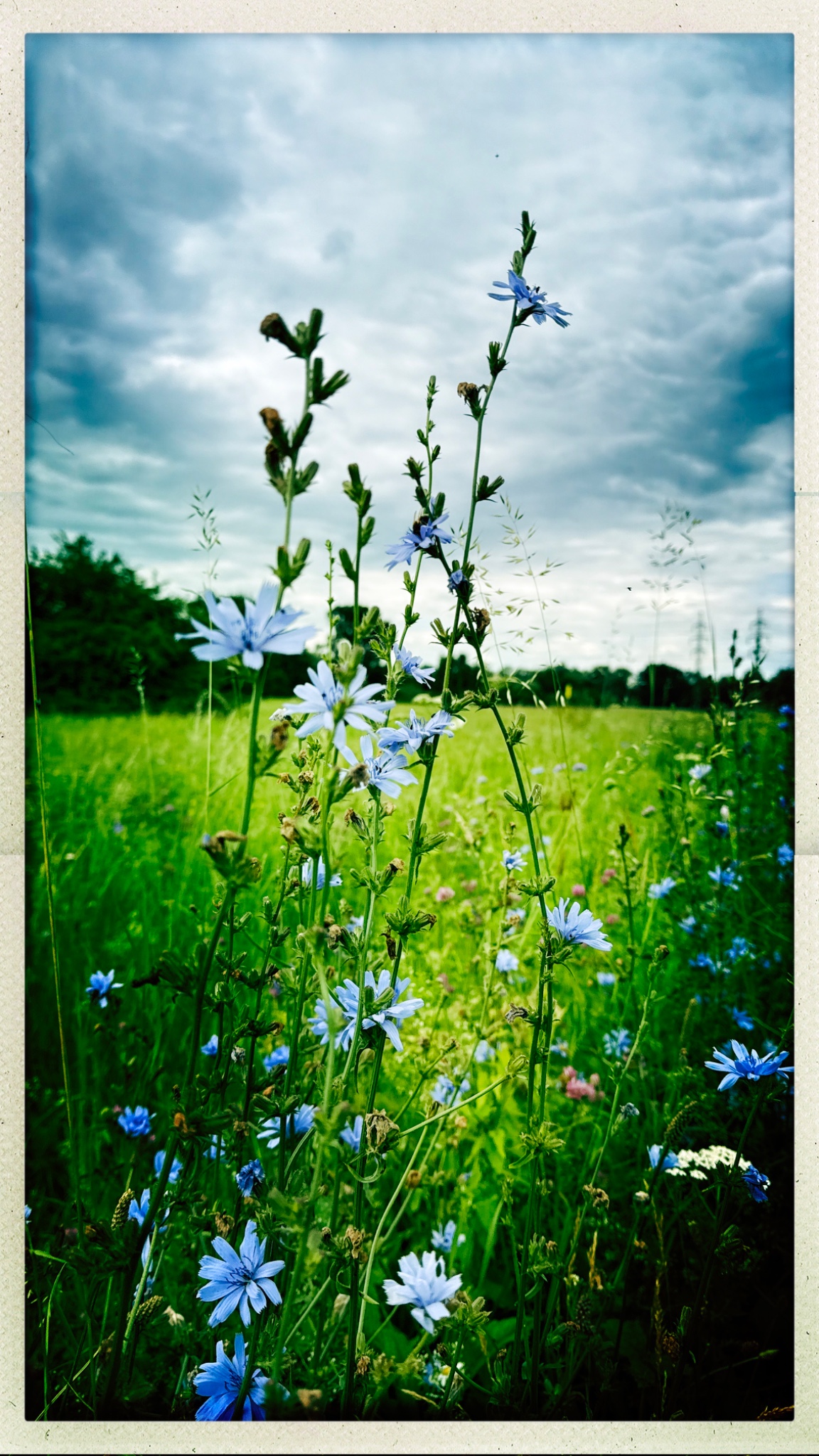 HipstamaticPhoto 773917665.964711