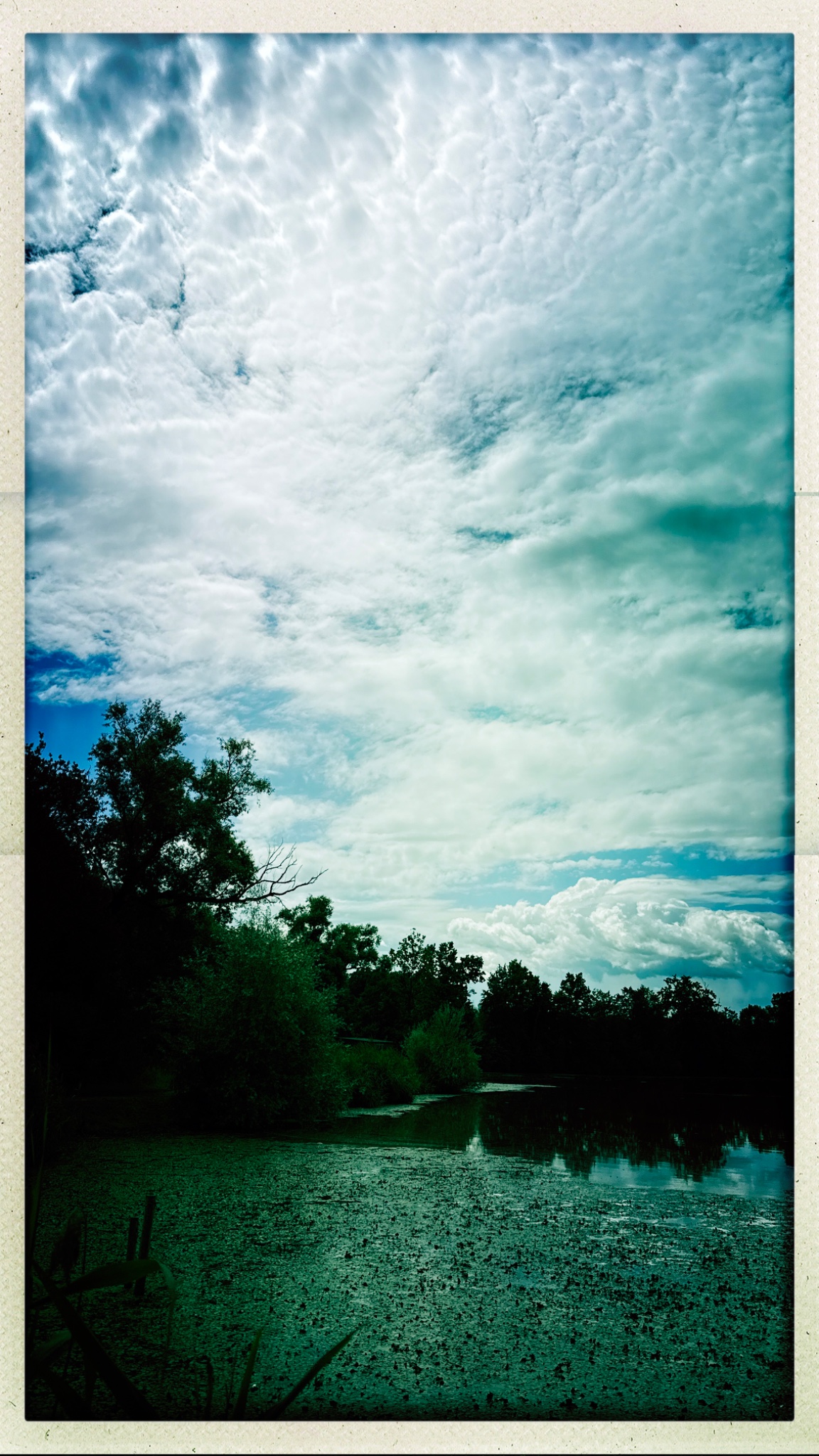 HipstamaticPhoto 773921513.417335