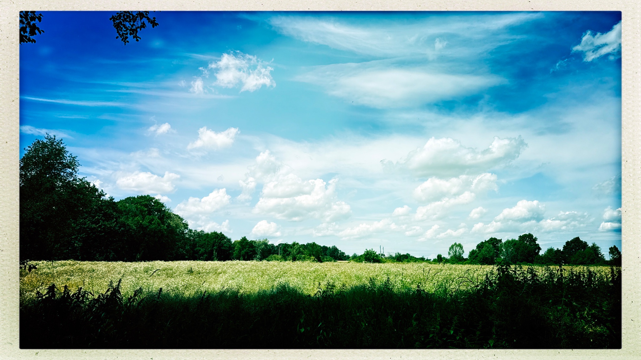 HipstamaticPhoto 774095096.253561