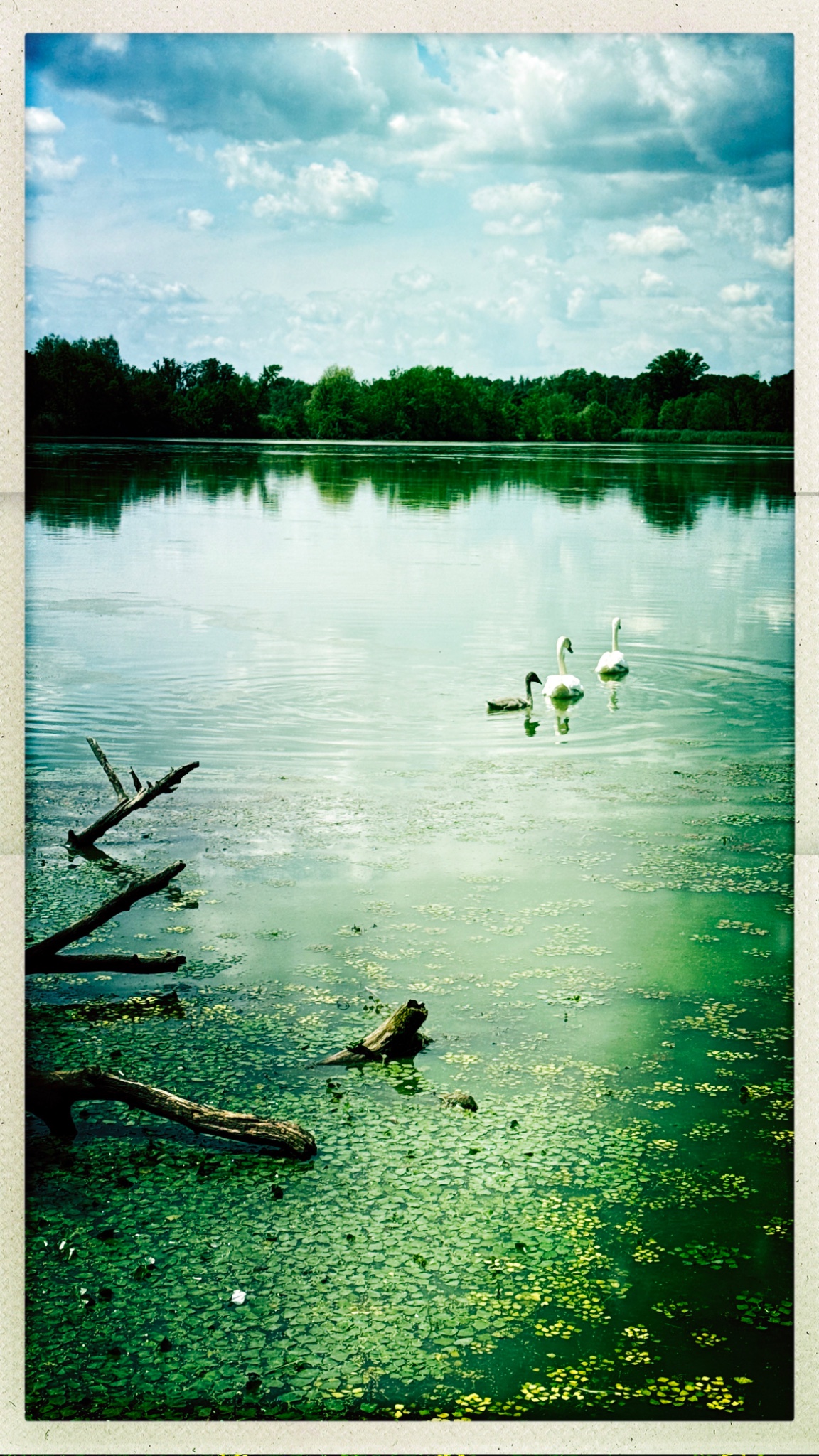 HipstamaticPhoto 774353235.263653