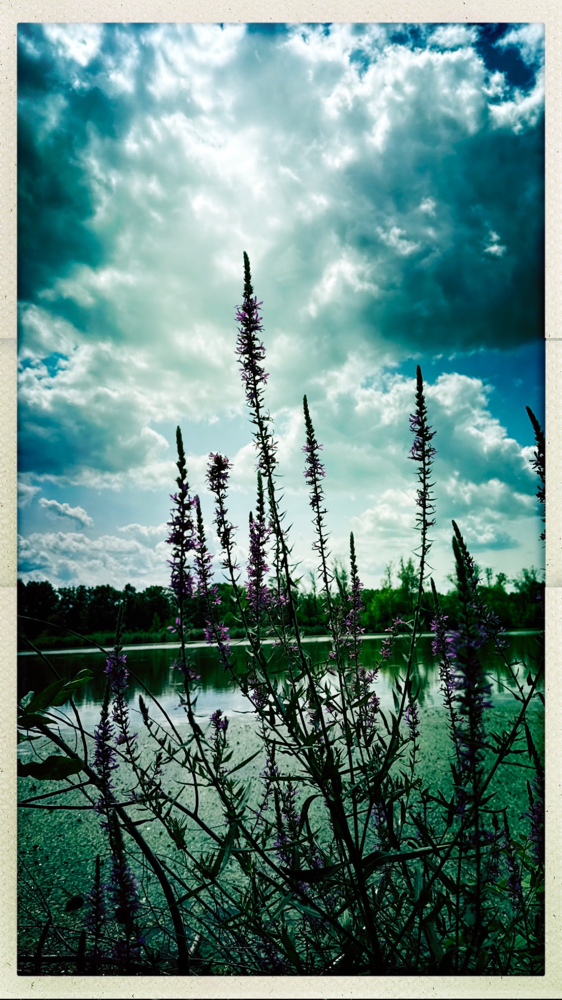 HipstamaticPhoto 774355858.115657