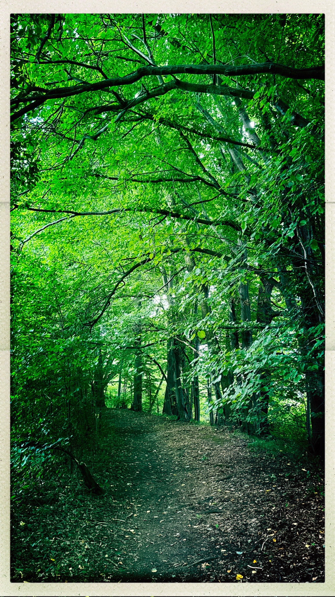 HipstamaticPhoto 774889060.707946