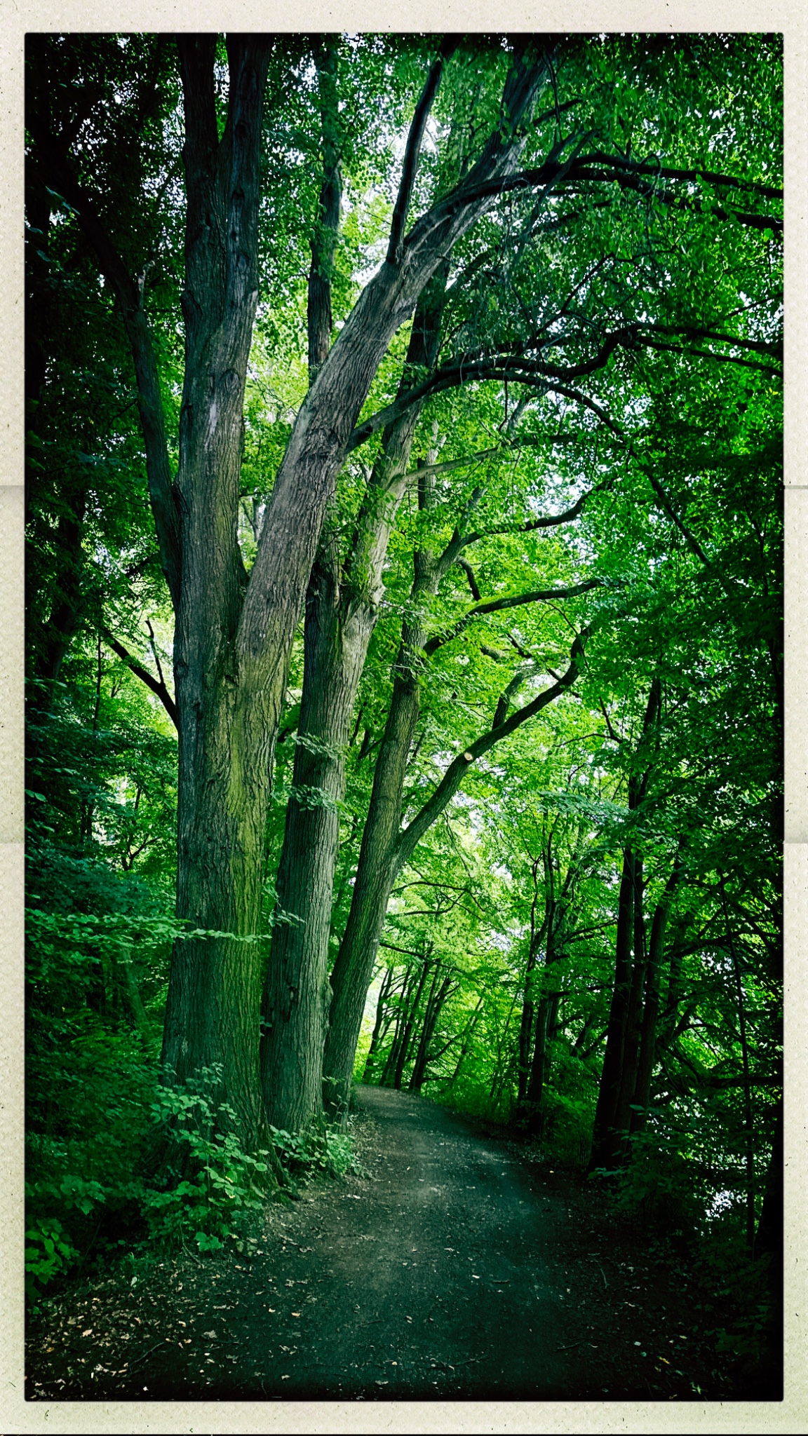 HipstamaticPhoto 775216901.067119