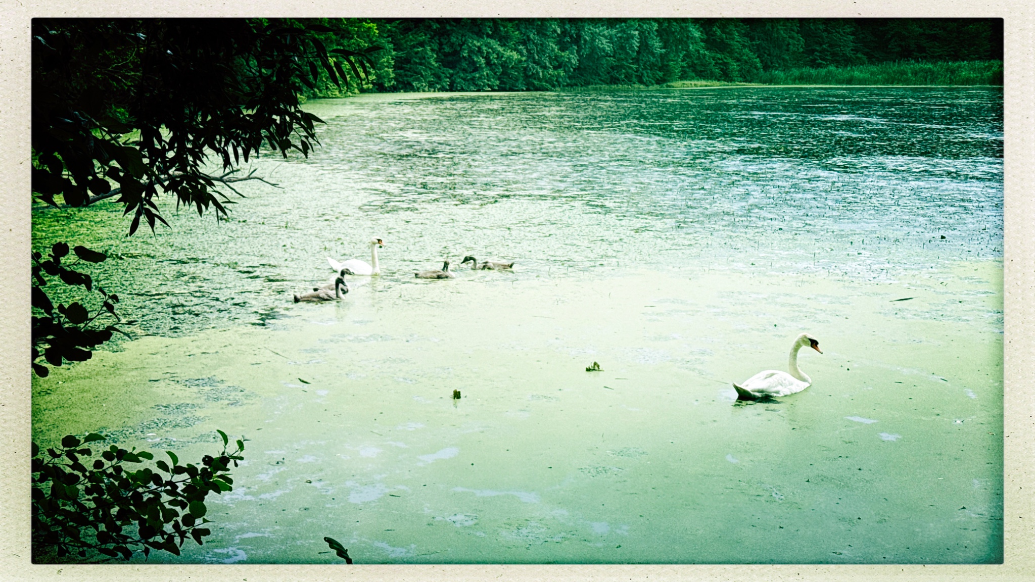 HipstamaticPhoto 775217009.311367