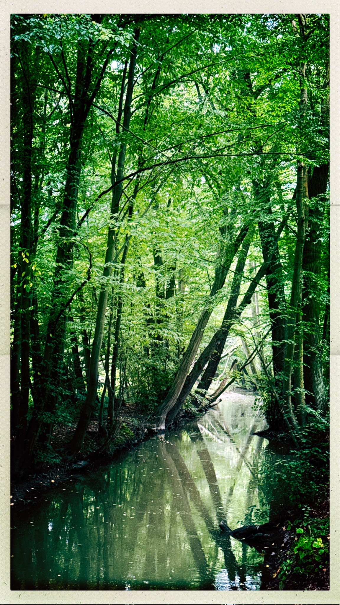 HipstamaticPhoto 775217734.682365