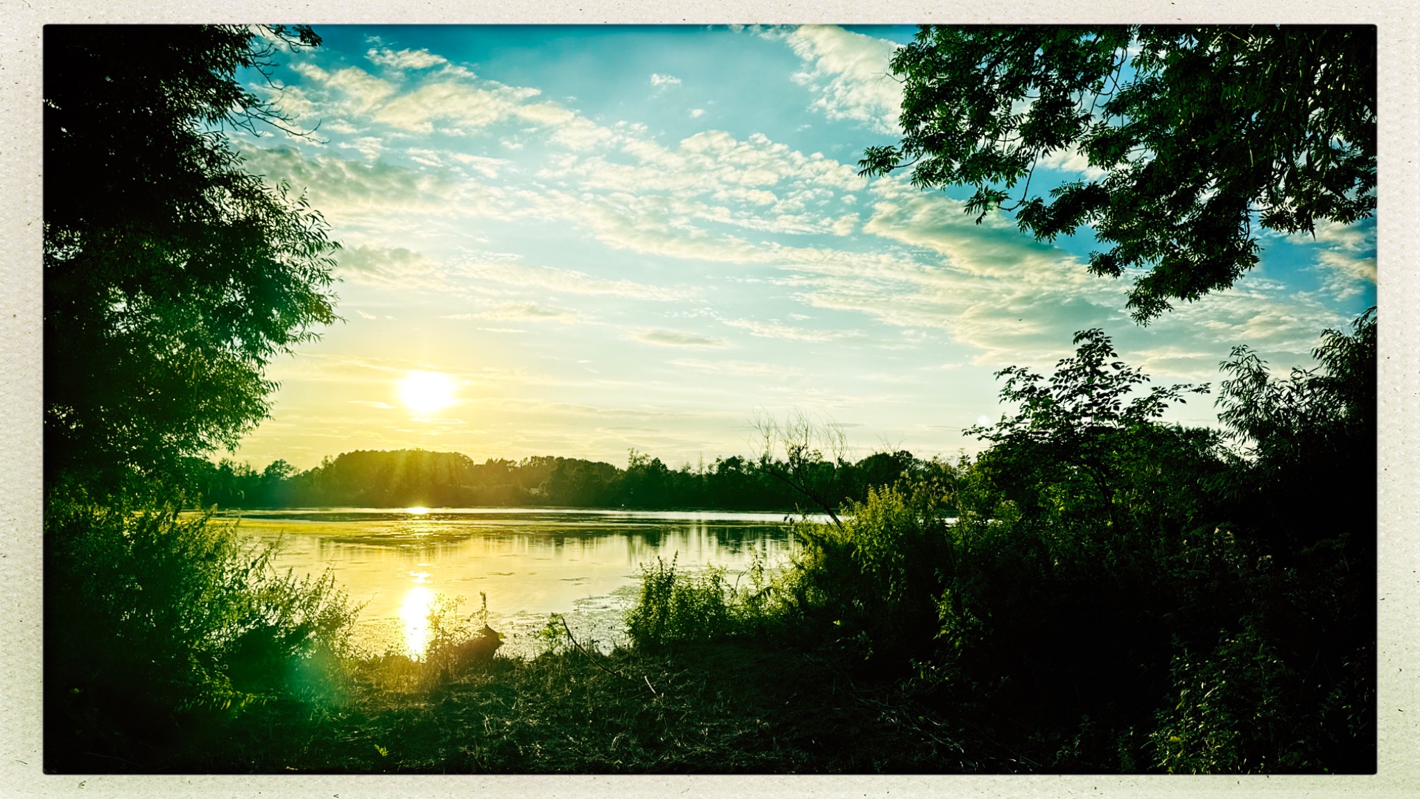 HipstamaticPhoto 775590405.654904