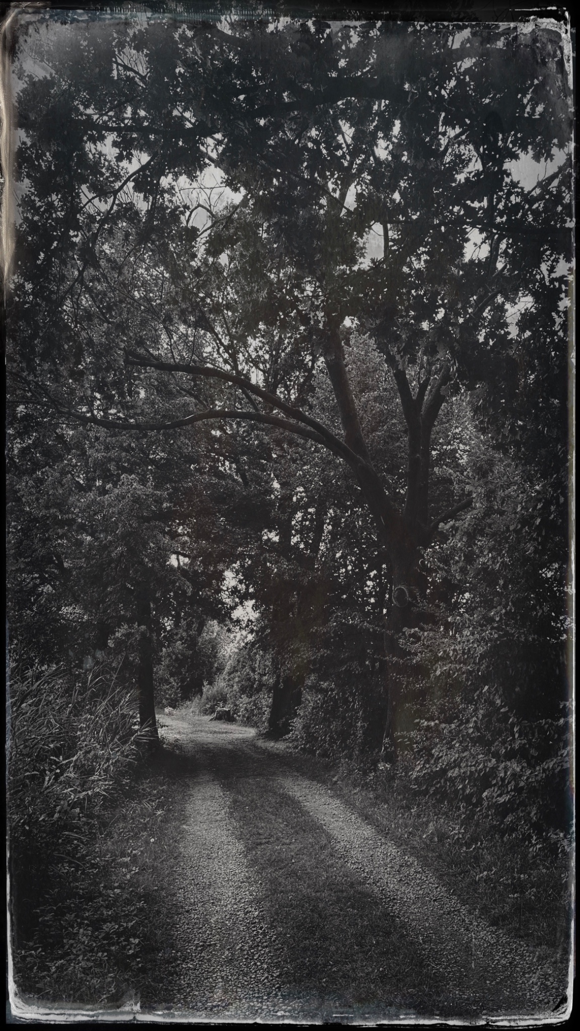 HipstamaticPhoto 775847449.568022