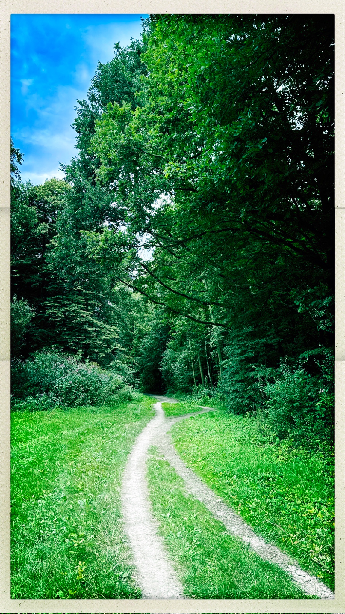 HipstamaticPhoto 776103108.772910