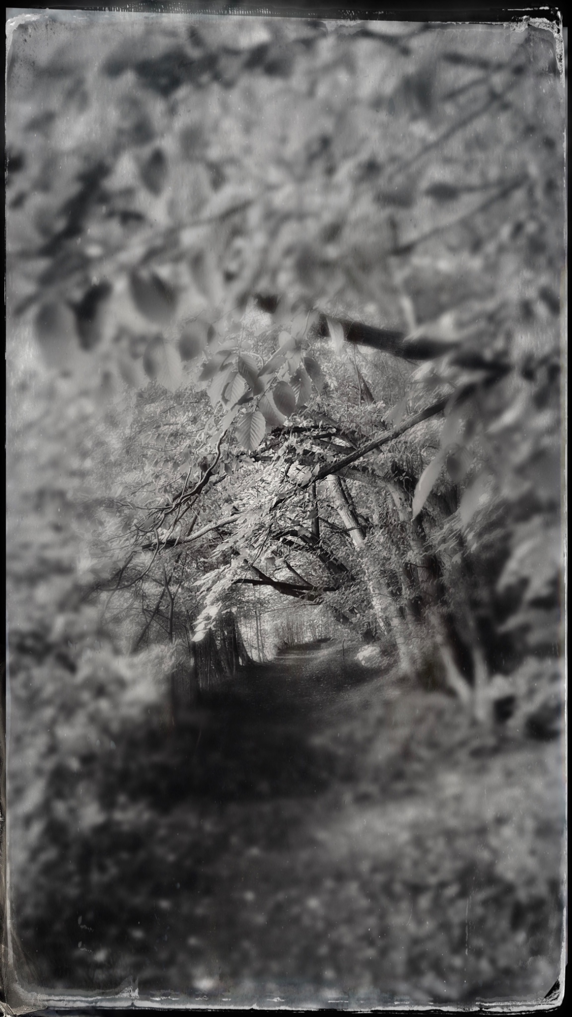 HipstamaticPhoto 776105406.582266