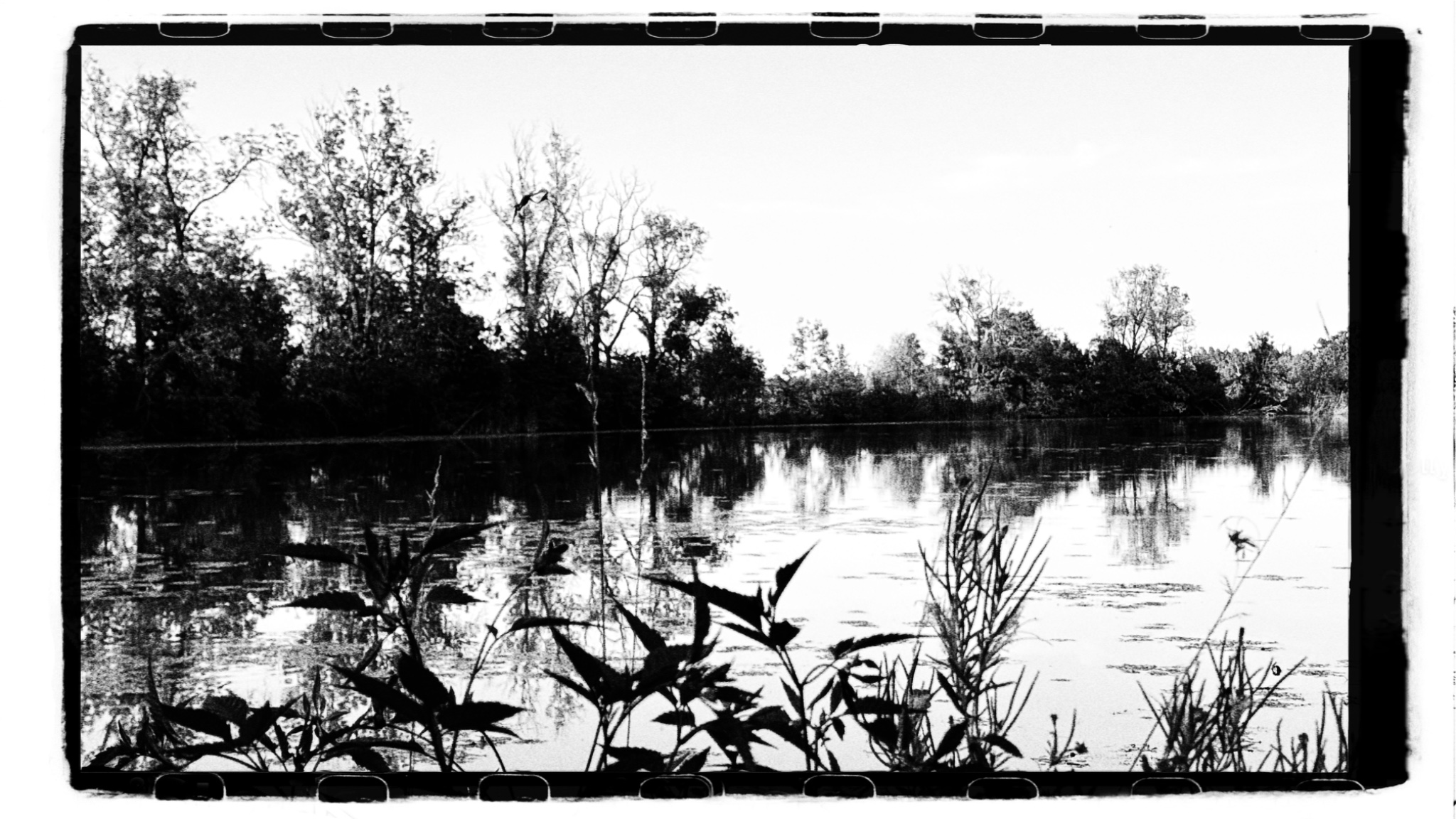 HipstamaticPhoto 776280577.213086