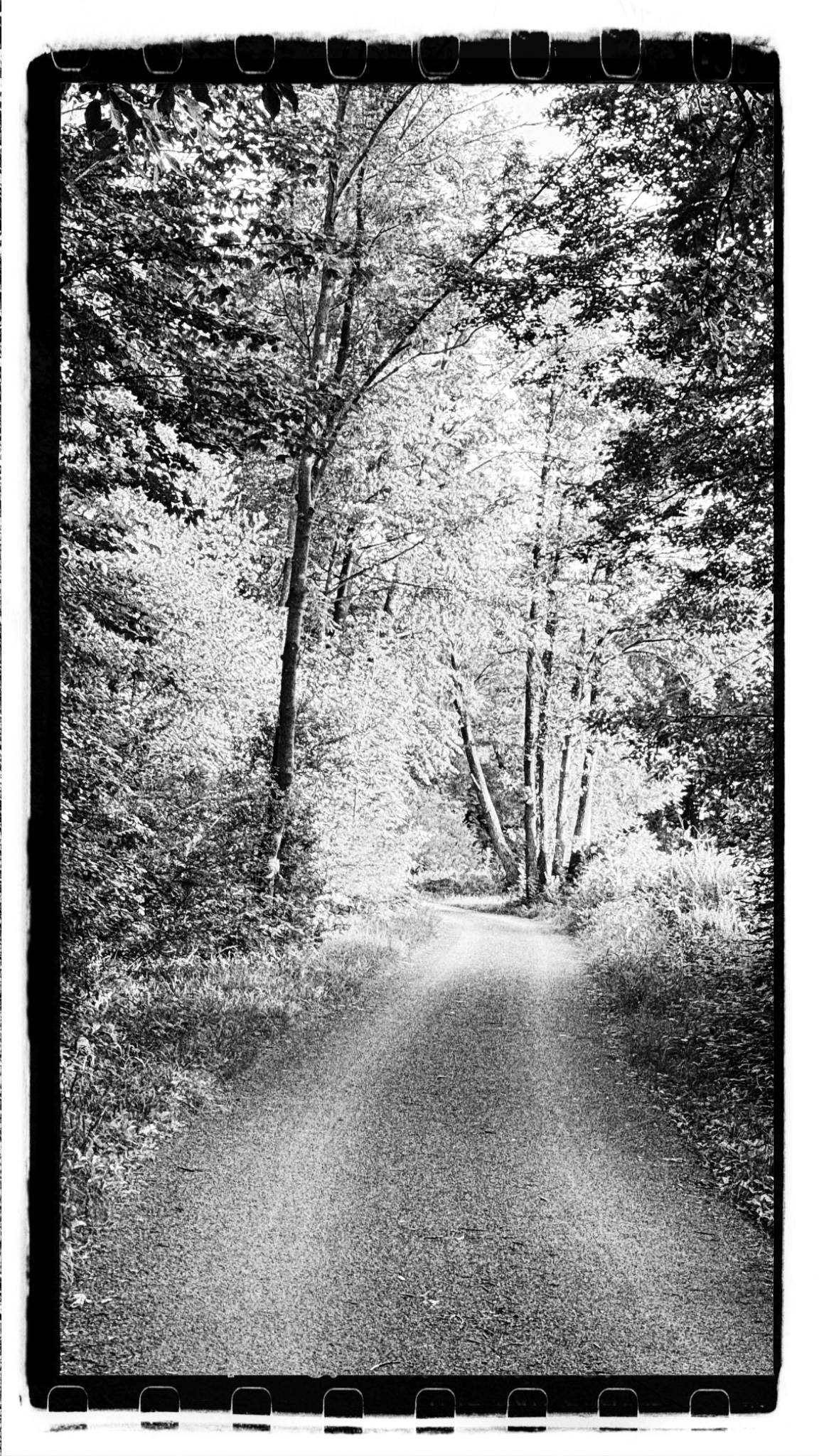 HipstamaticPhoto 776280870.596509