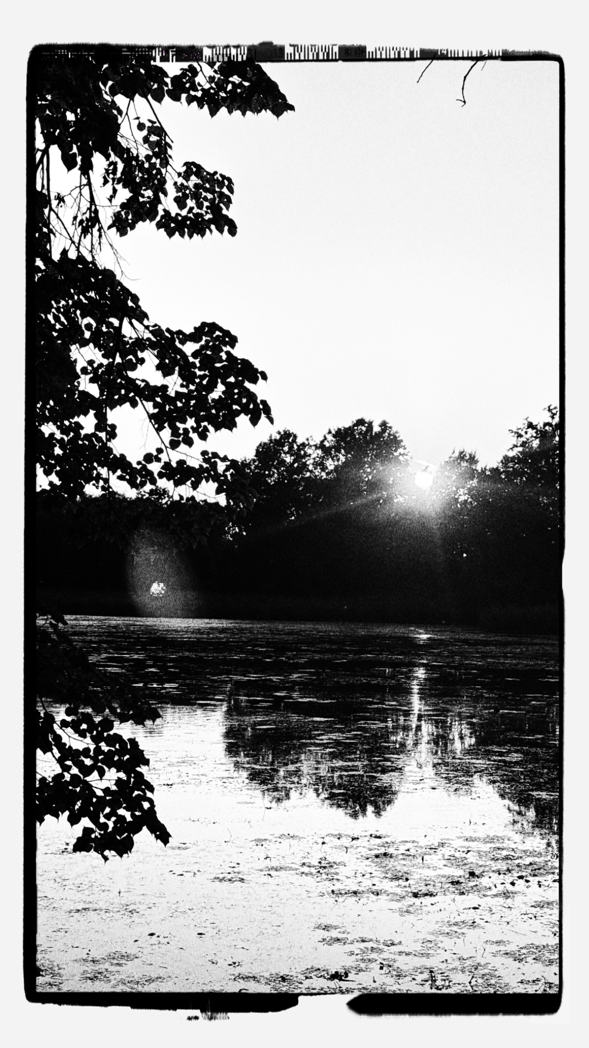 HipstamaticPhoto 776281316.503788