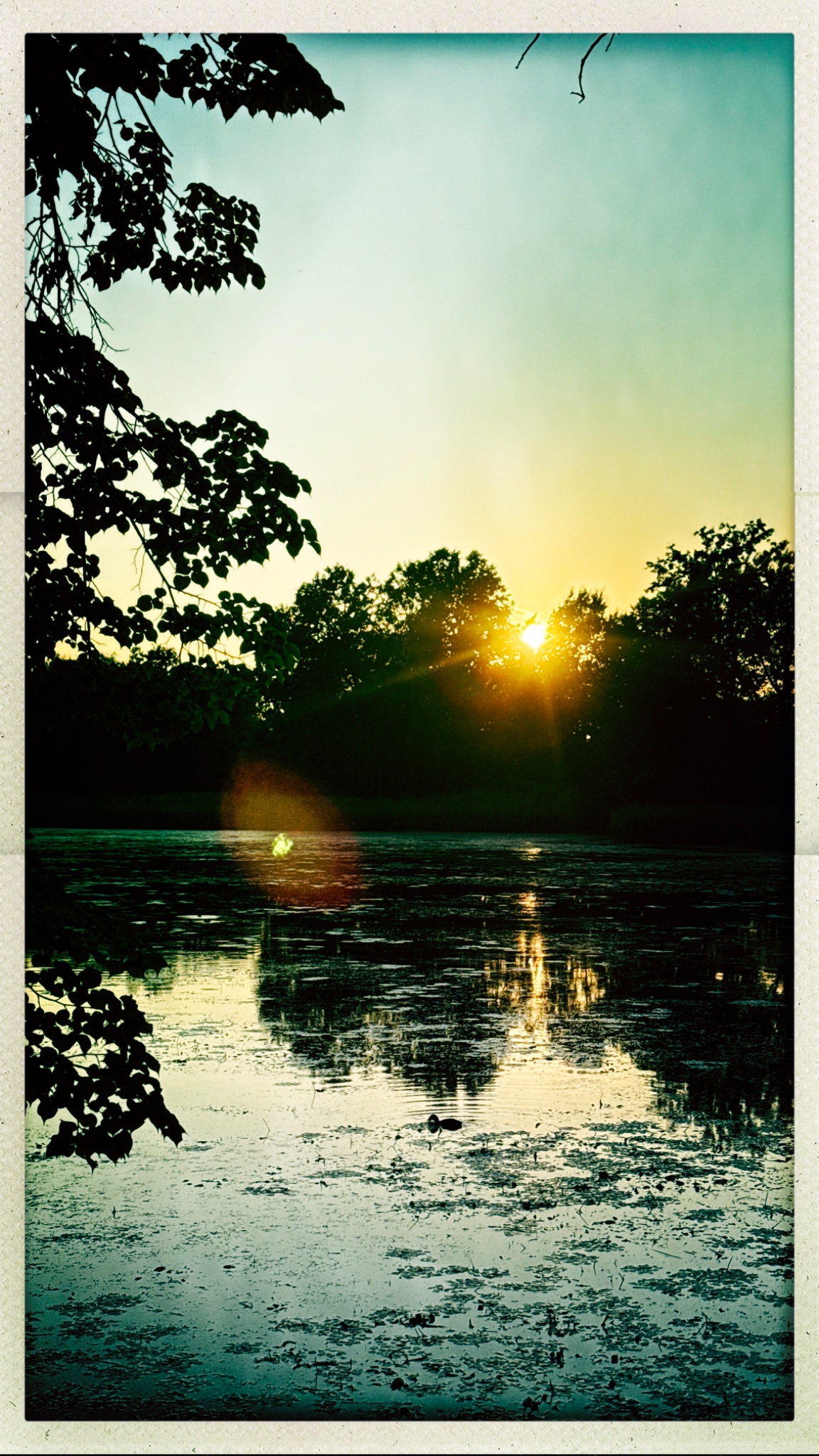 HipstamaticPhoto 776281349.835961