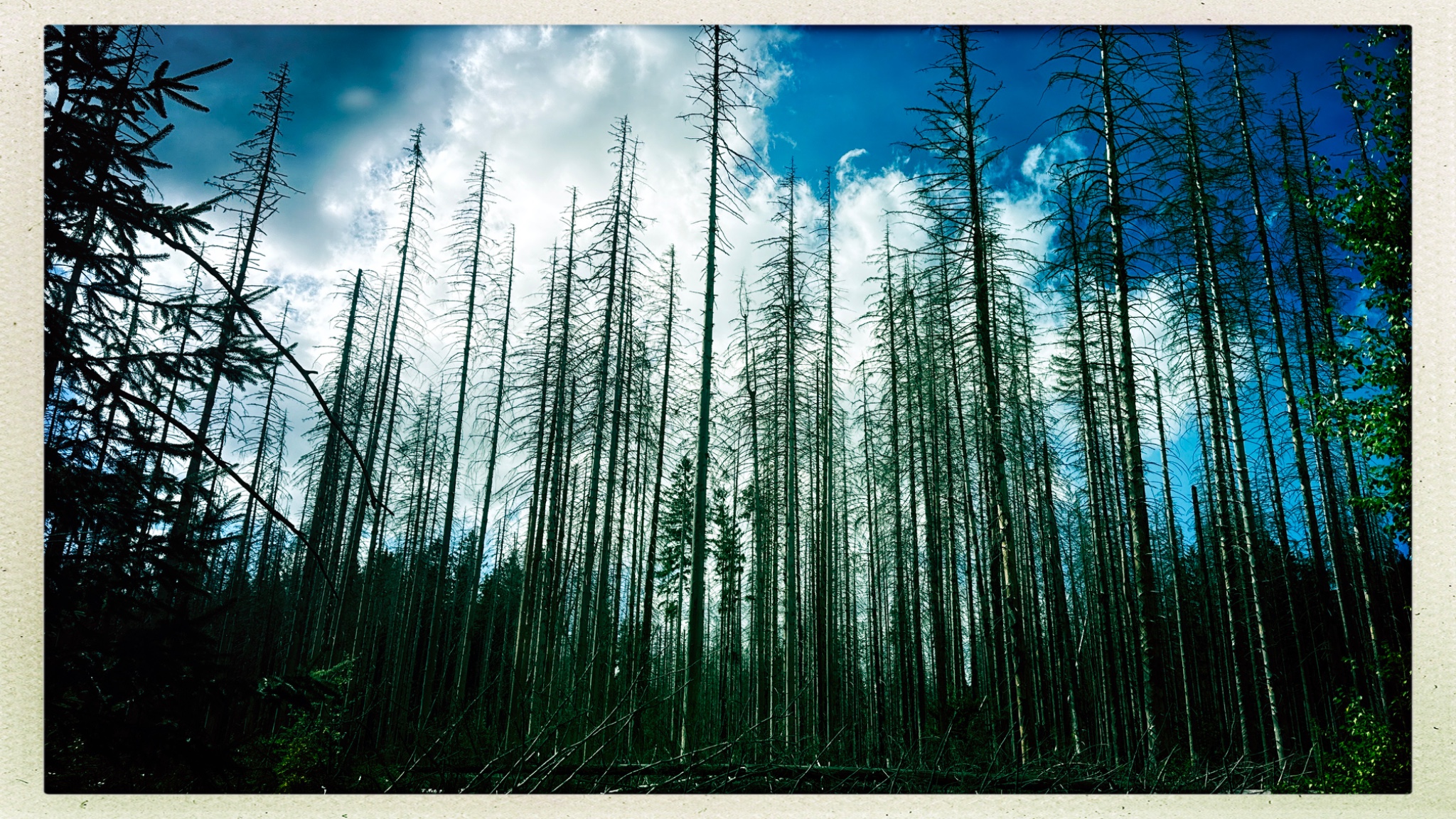 HipstamaticPhoto 777131547.586038