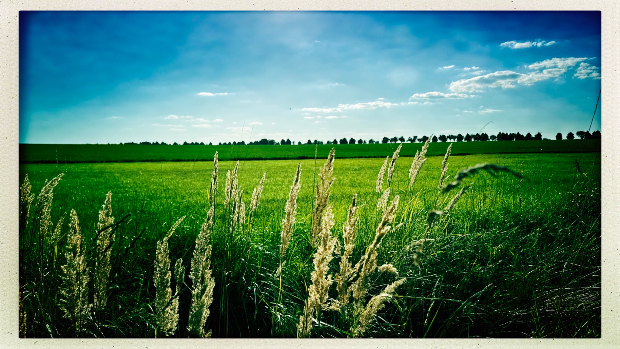 HipstamaticPhoto 777309934.802717