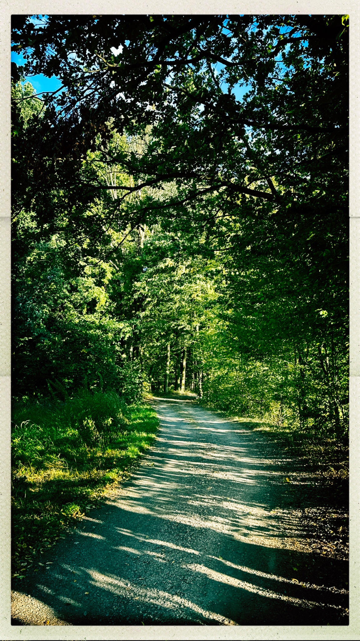 HipstamaticPhoto 777658197.657126