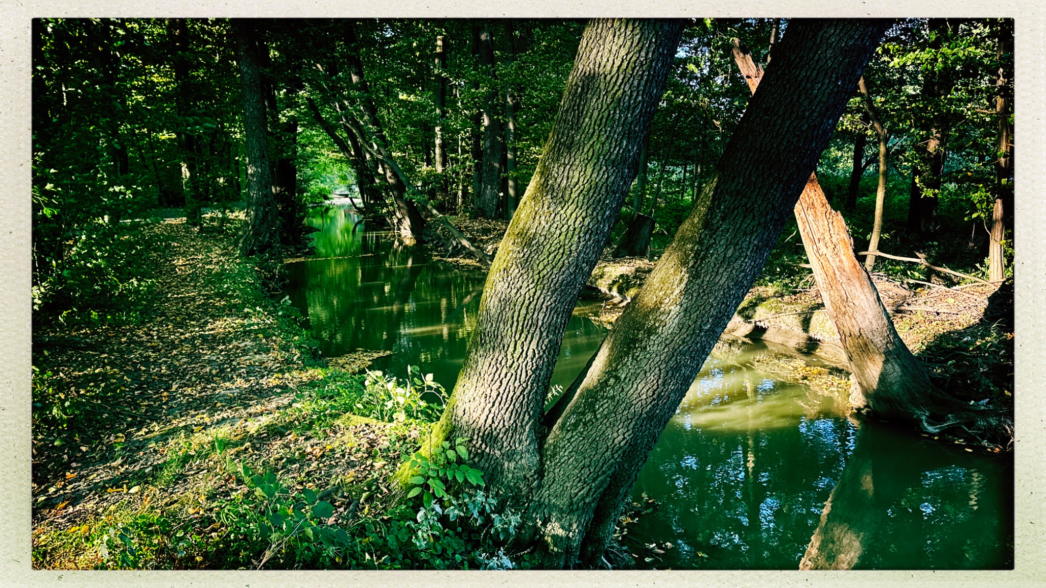 HipstamaticPhoto 777659301.551946