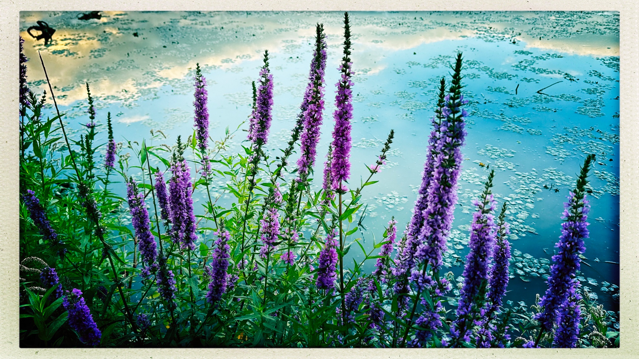 HipstamaticPhoto 777660924.450149