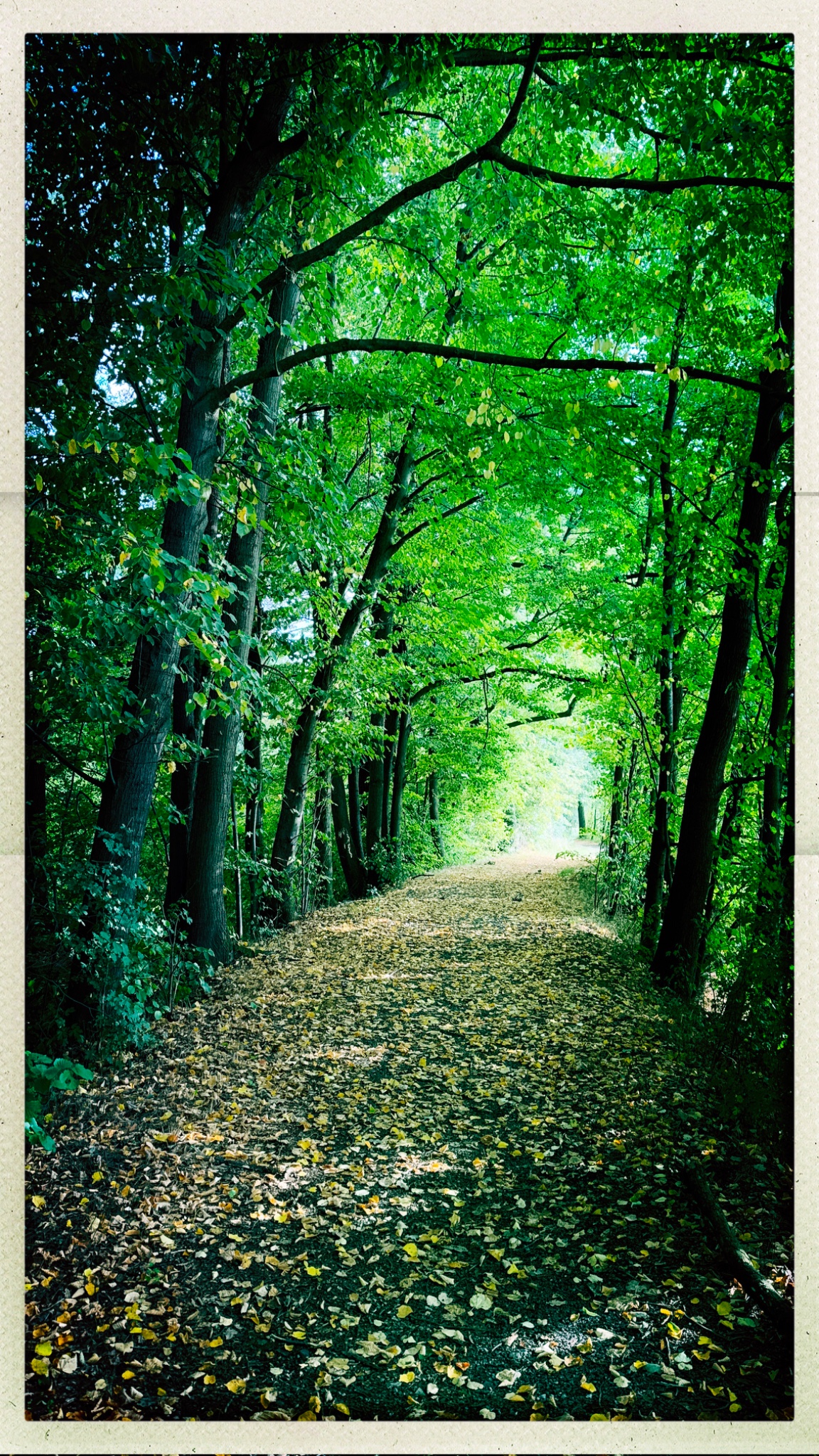 HipstamaticPhoto 778949920.391371