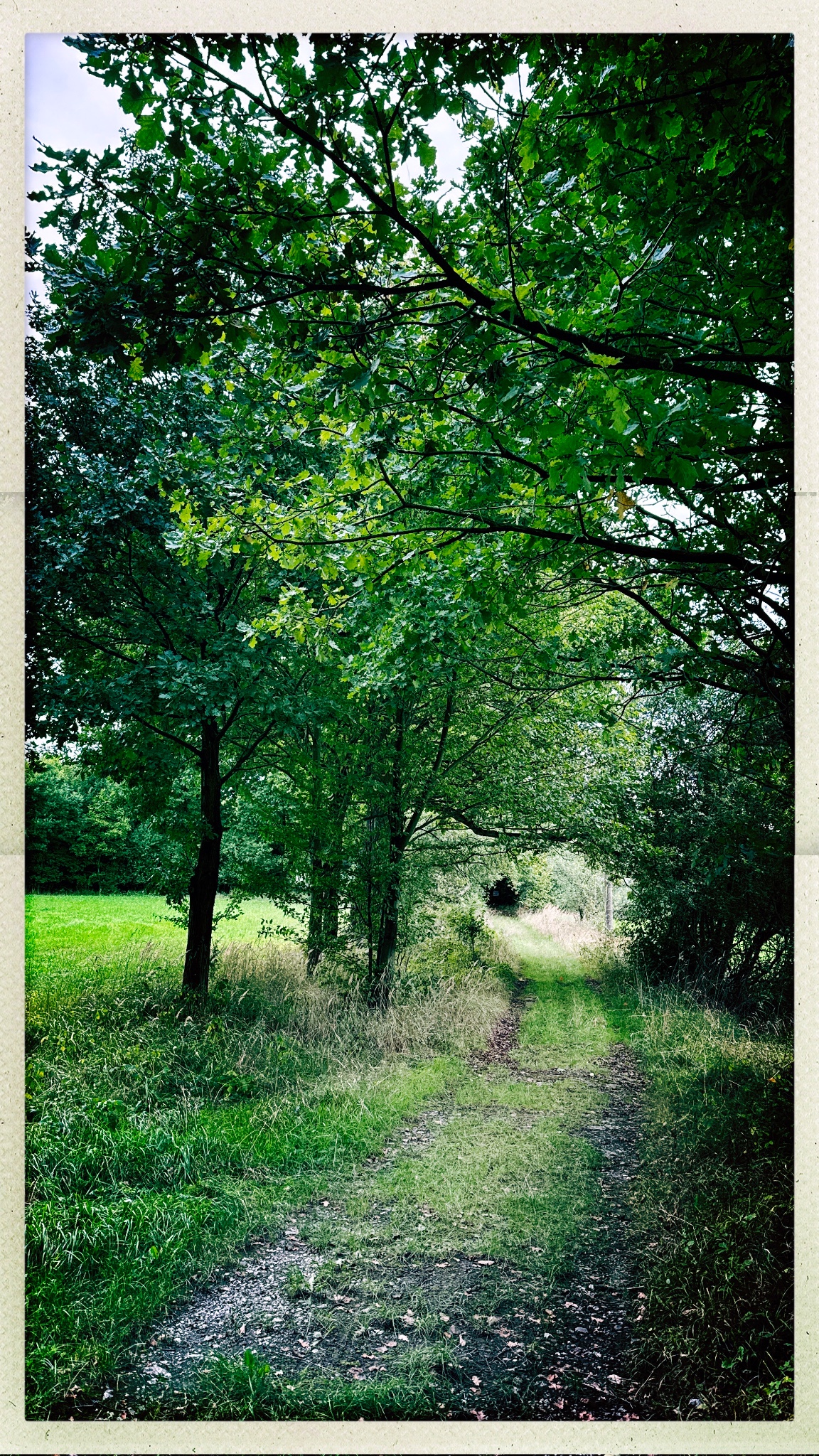 HipstamaticPhoto 779730457.567594