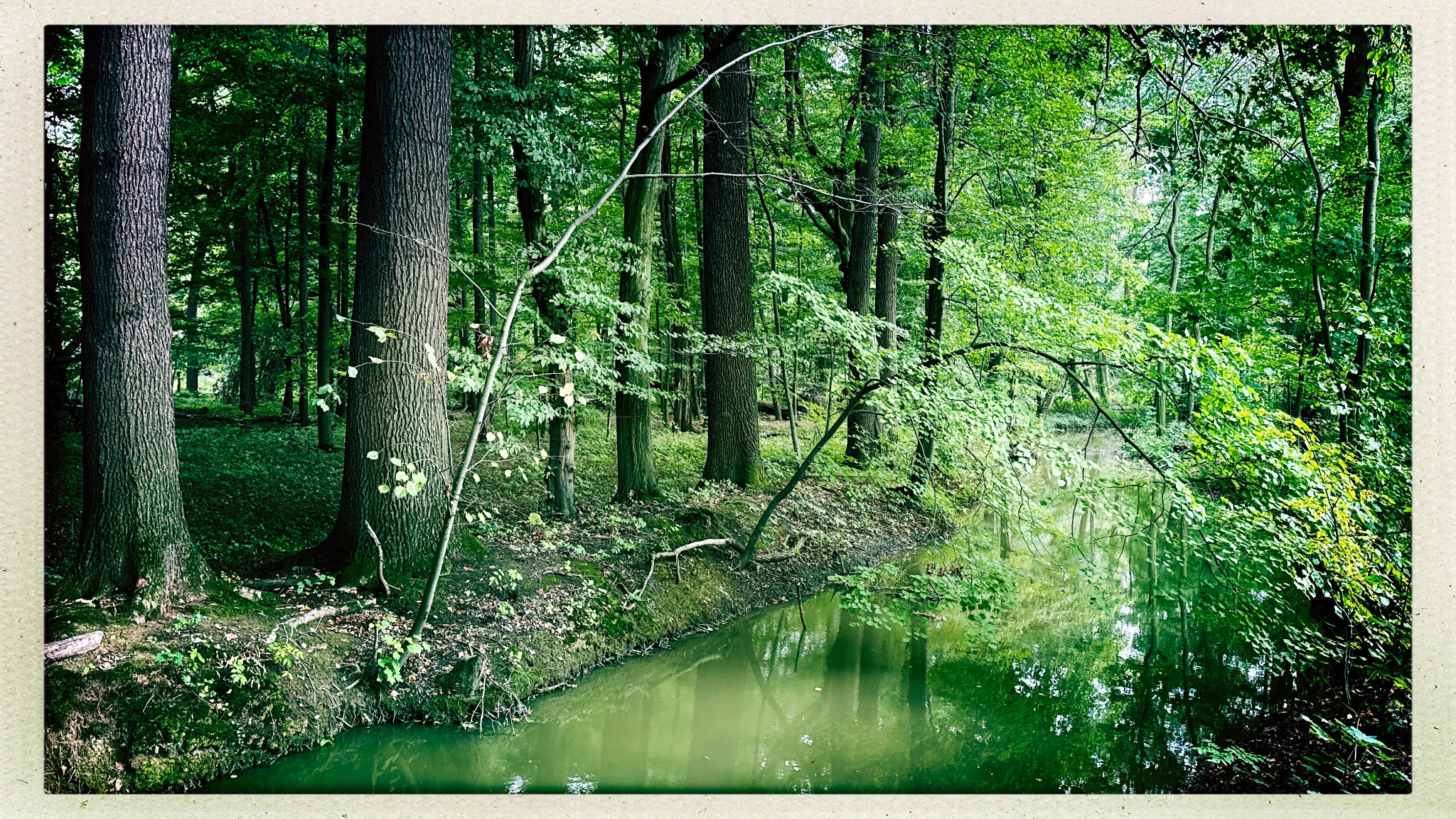 HipstamaticPhoto 779730778.596659