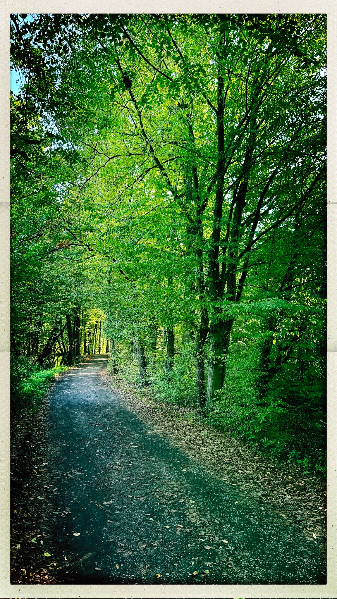 HipstamaticPhoto 780762682.219577