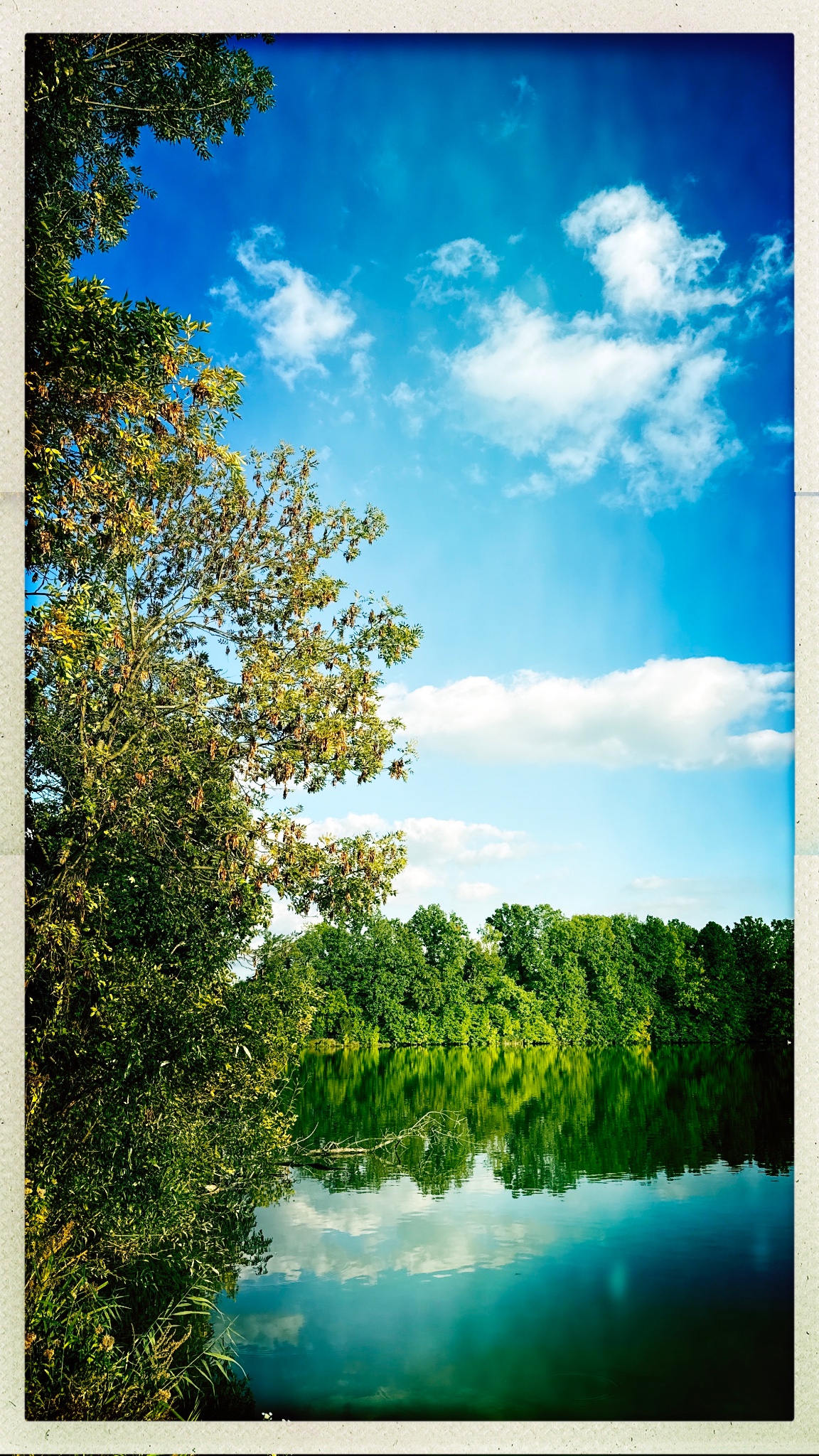 HipstamaticPhoto 780763692.879456