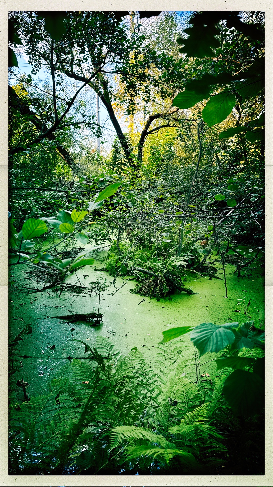 HipstamaticPhoto 780766044.724041