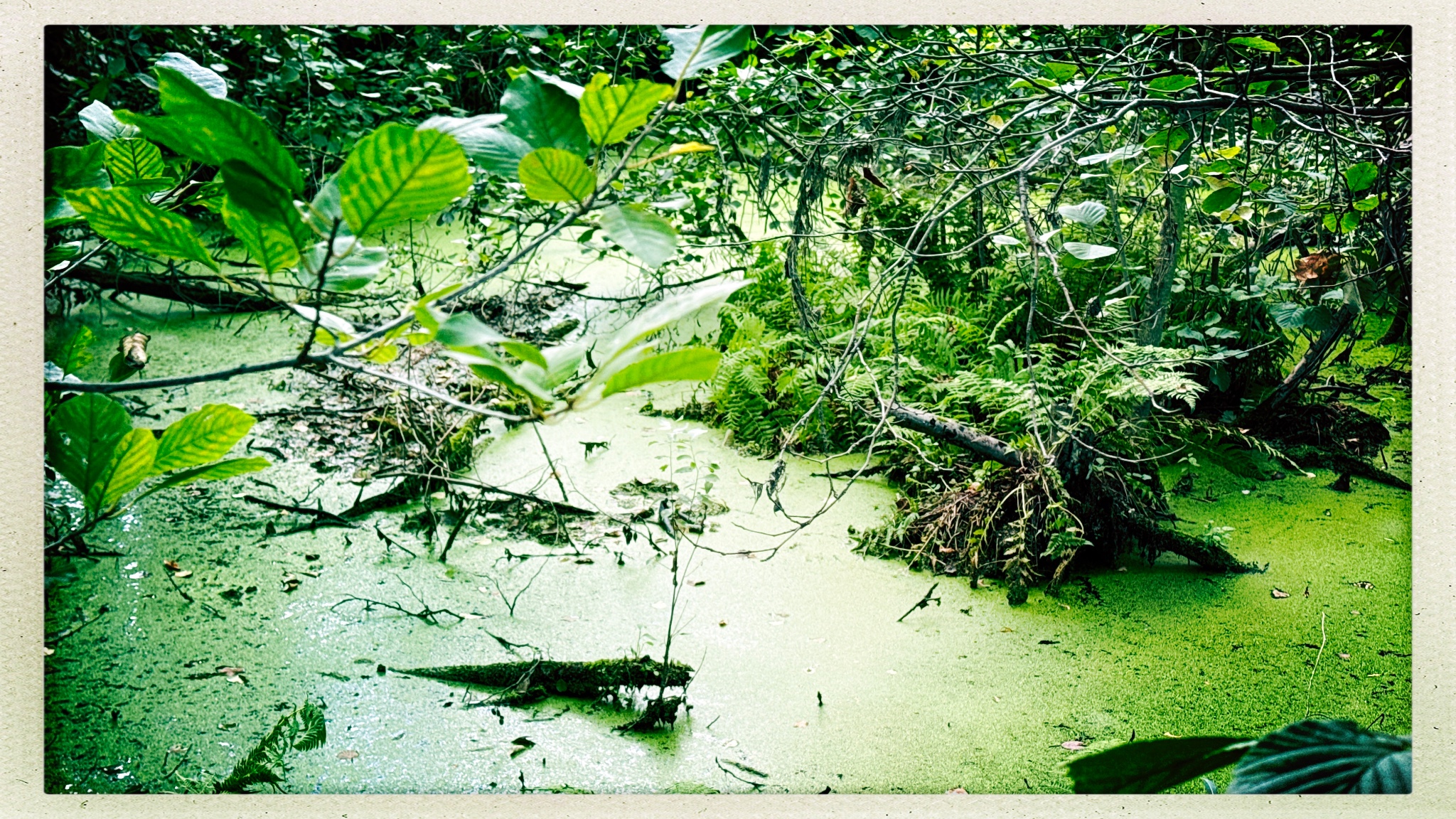 HipstamaticPhoto 780766057.431137