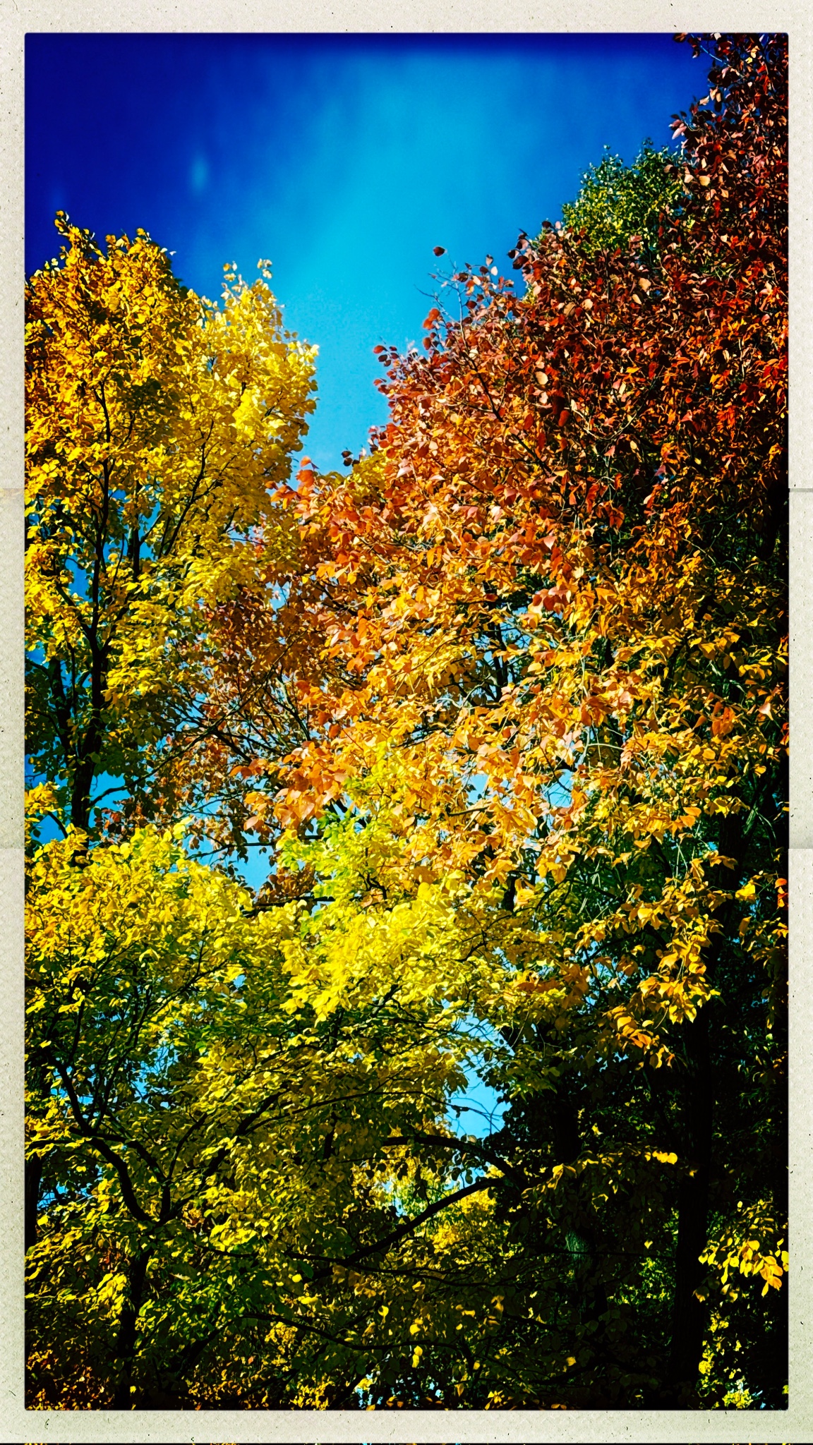 HipstamaticPhoto 782297366.559593