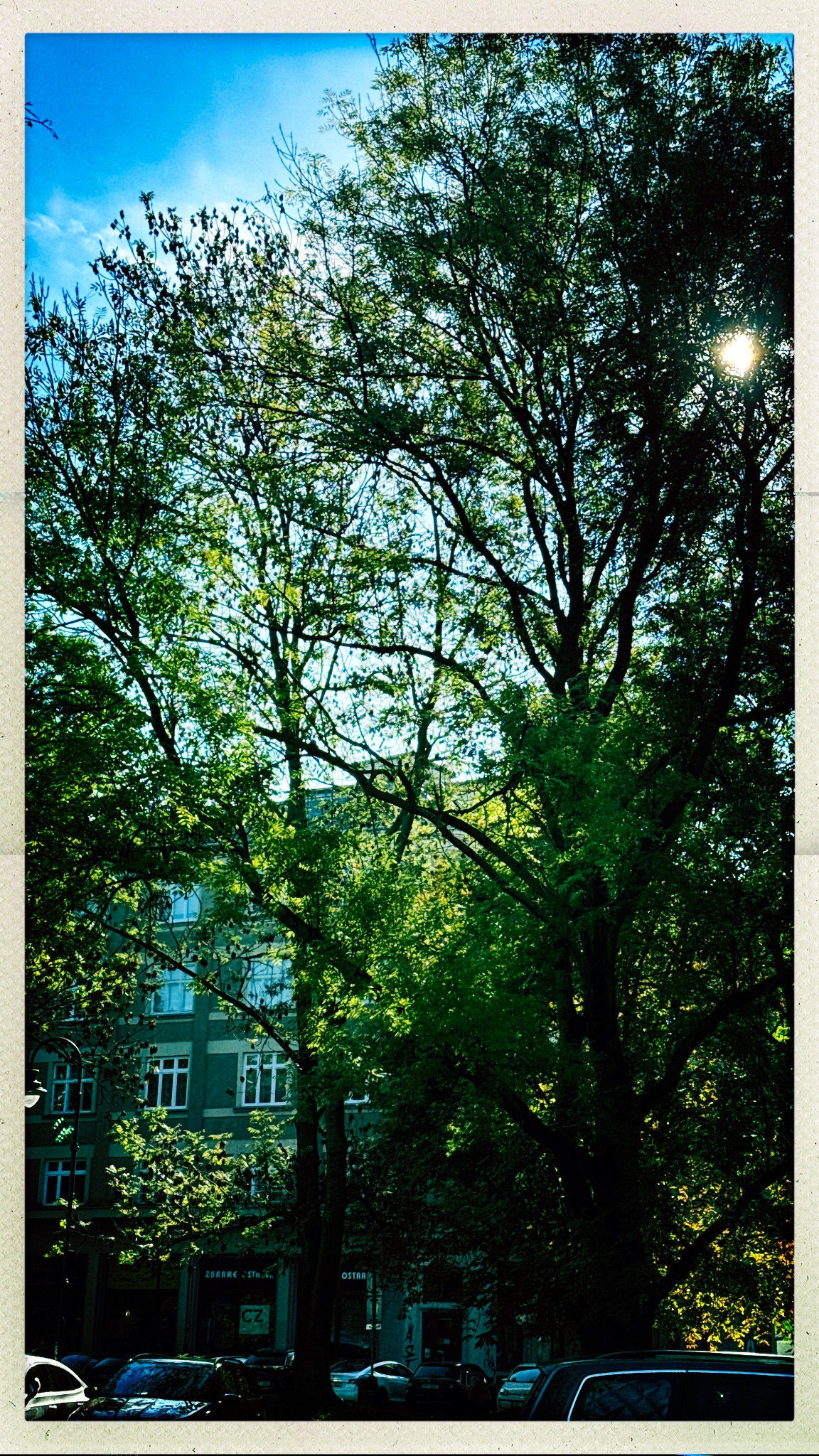 HipstamaticPhoto 782297529.820330