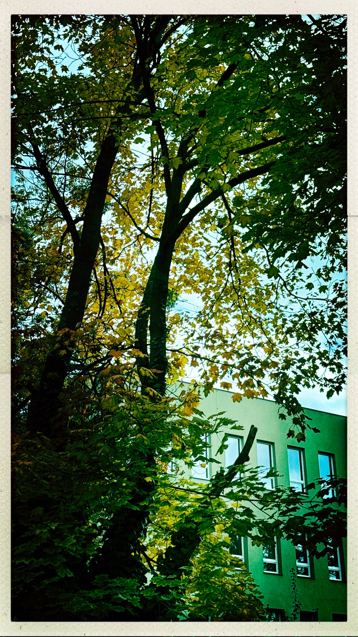 HipstamaticPhoto 782307489.914048