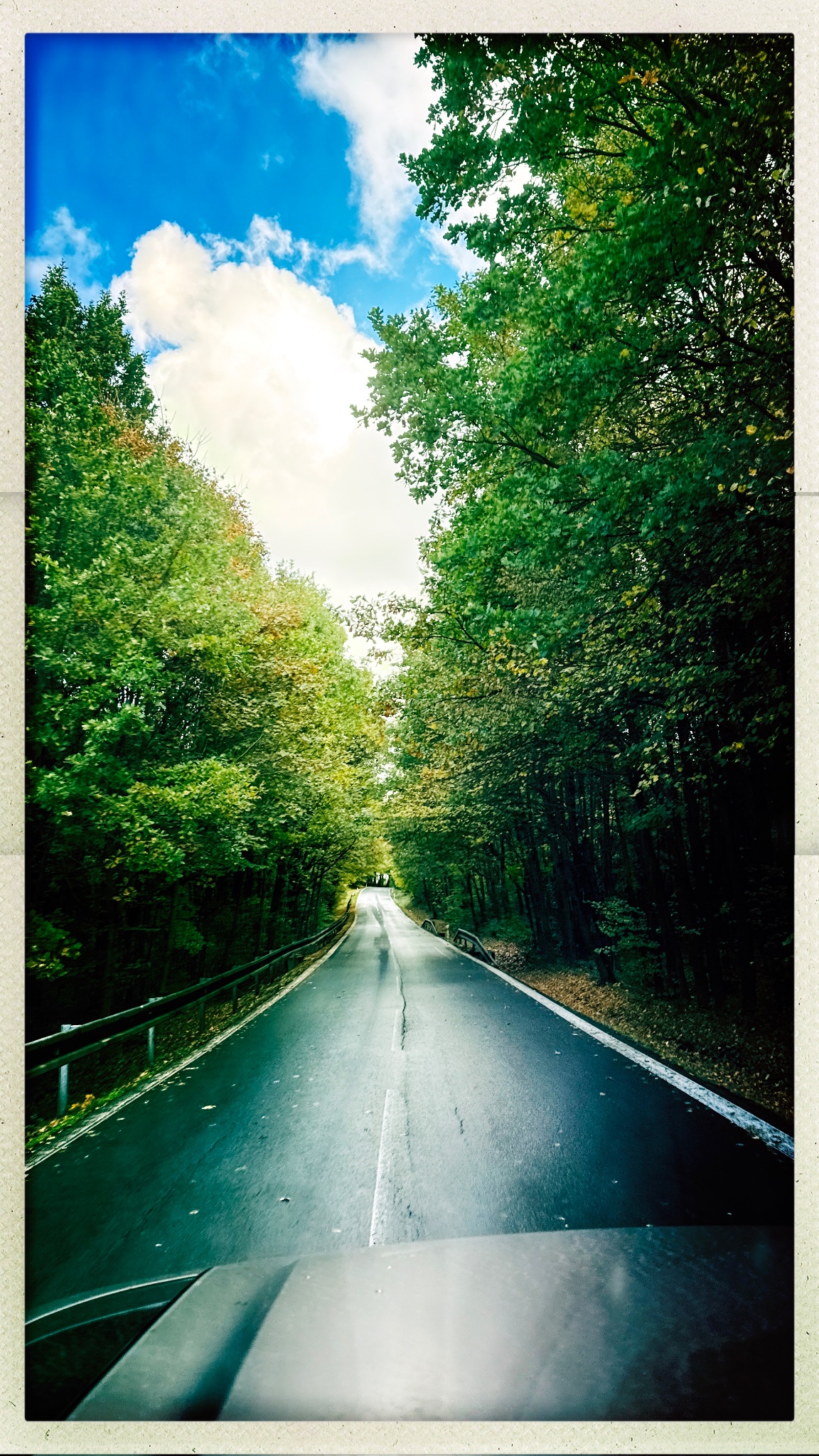 HipstamaticPhoto 782472916.285368