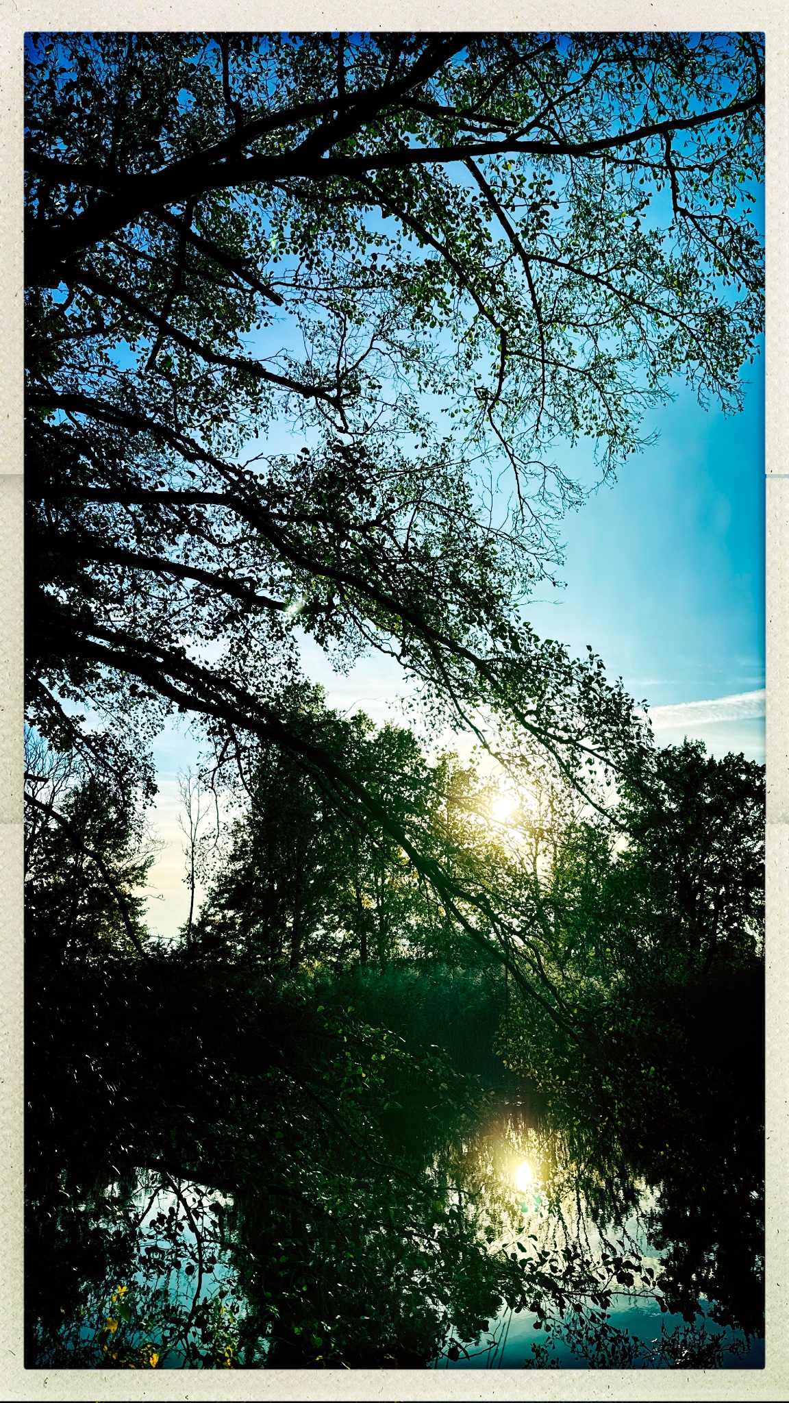 HipstamaticPhoto 782577494.004155