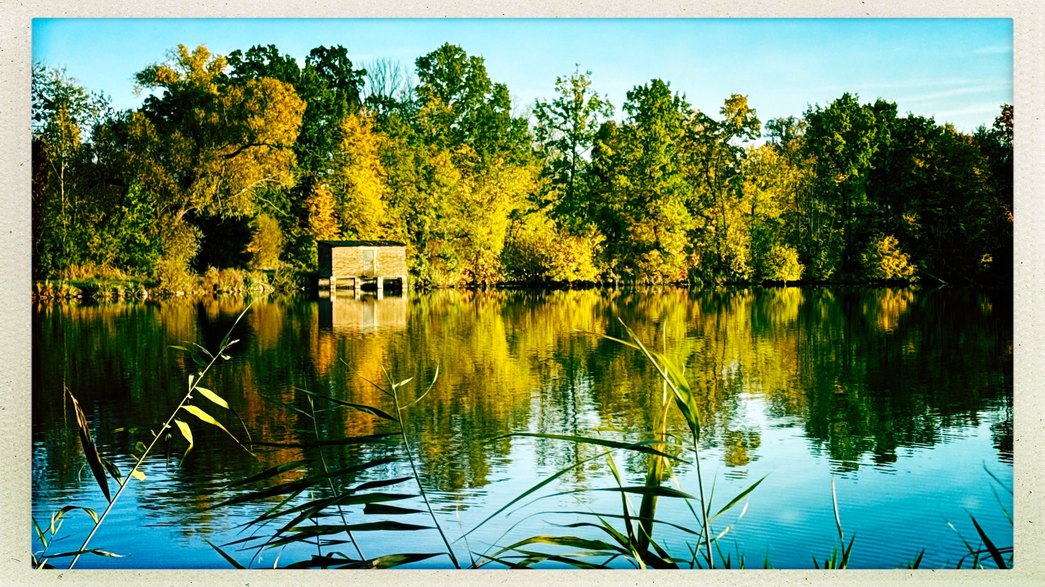 HipstamaticPhoto 782578644.592983