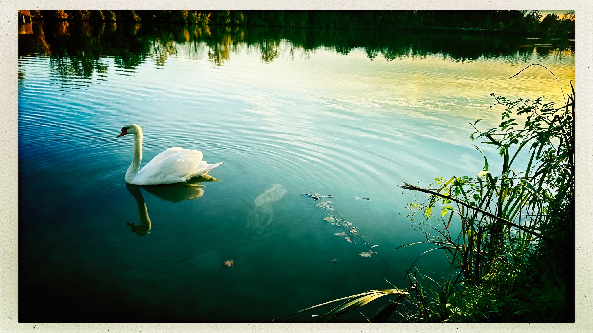 HipstamaticPhoto 782578733.910192