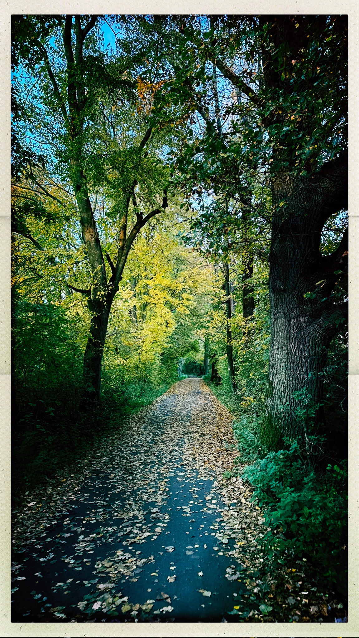 HipstamaticPhoto 782579859.899874