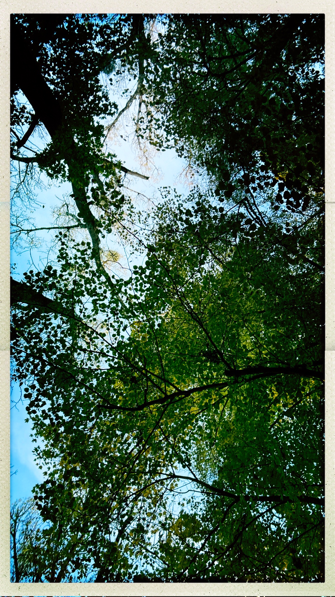 HipstamaticPhoto 782579896.496053