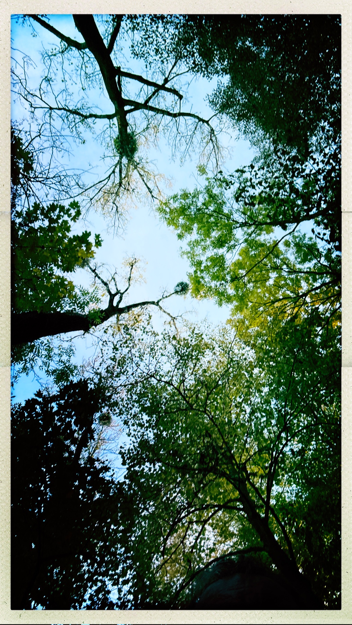 HipstamaticPhoto 782579903.941072