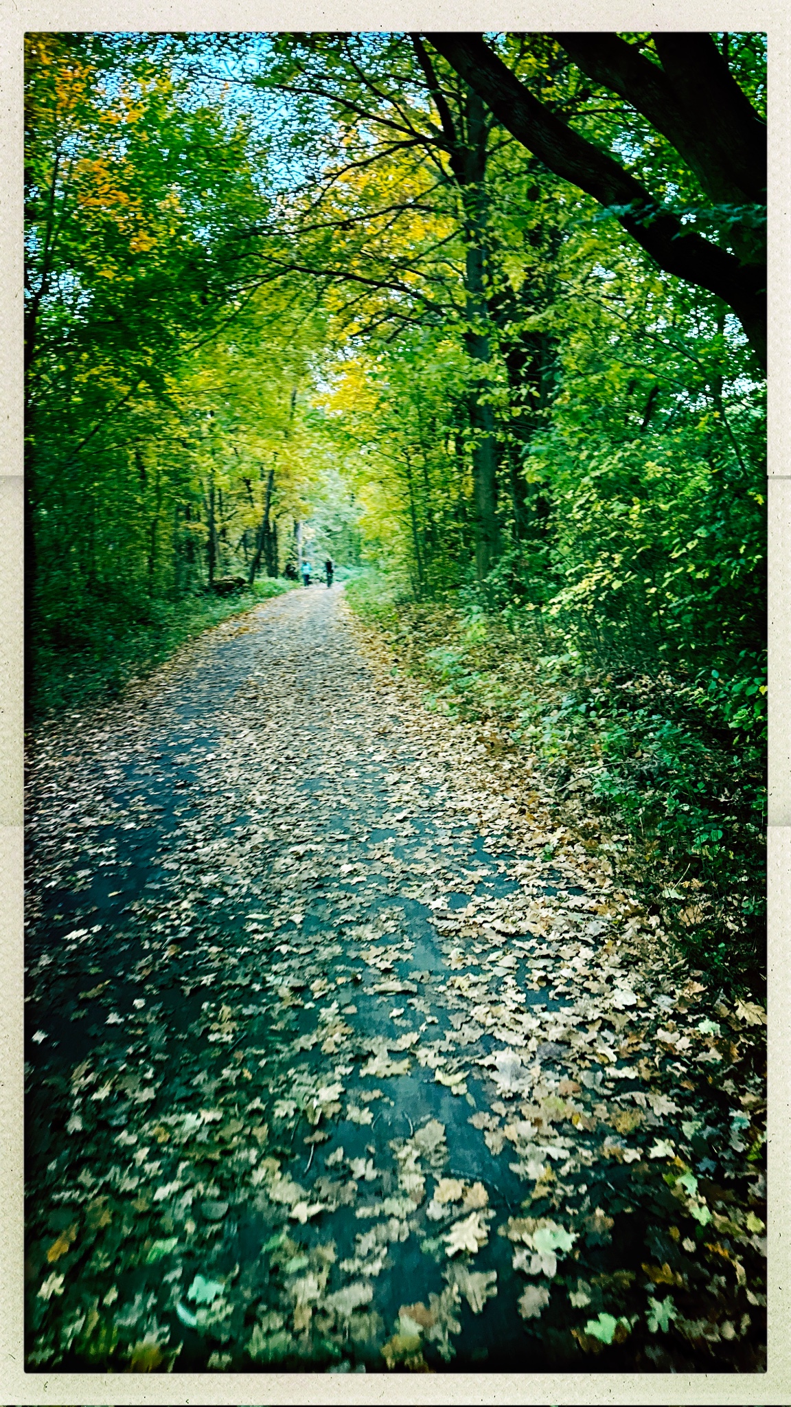 HipstamaticPhoto 782579980.739756