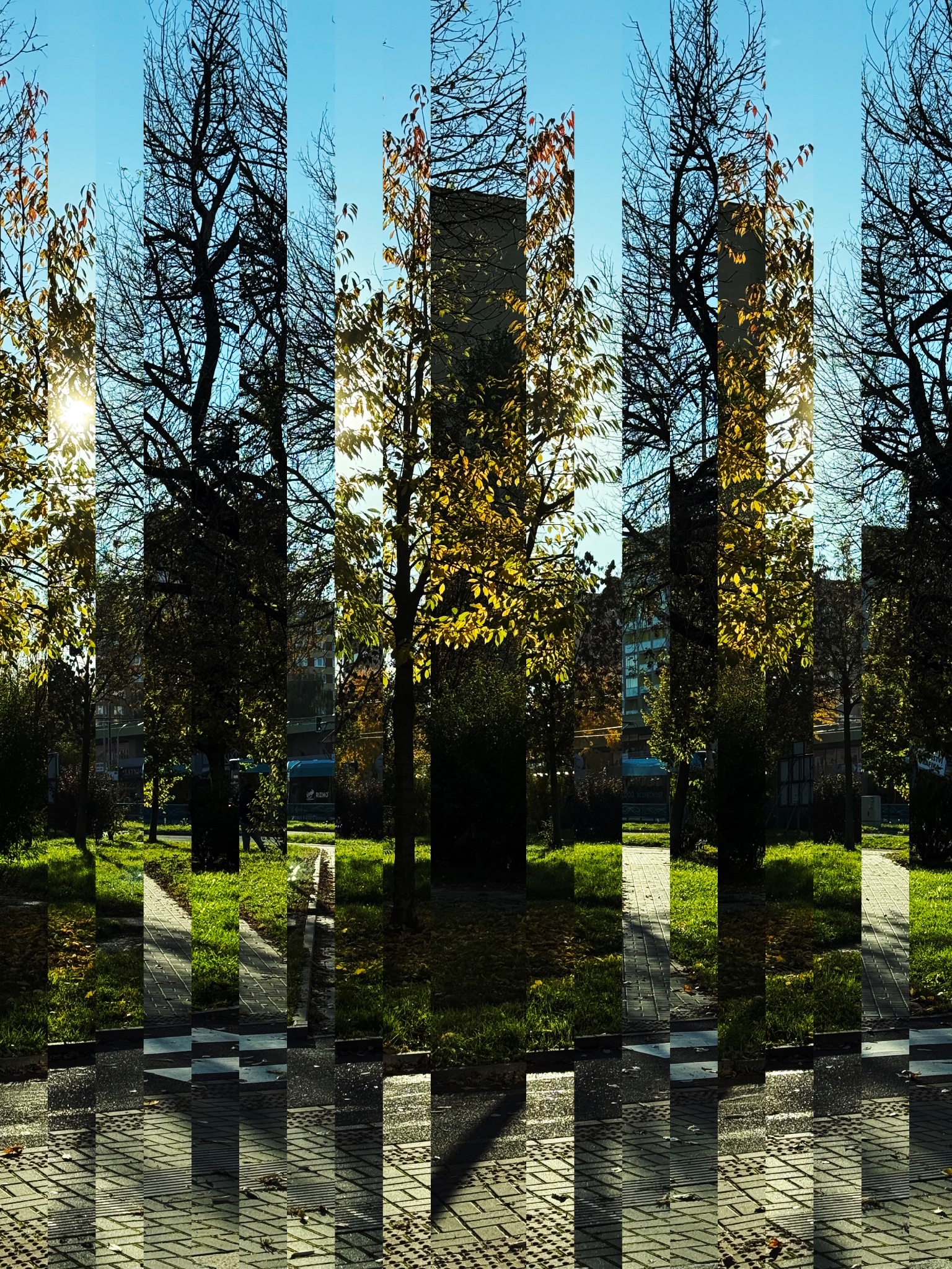 HipstamaticPhoto 782663184.863736