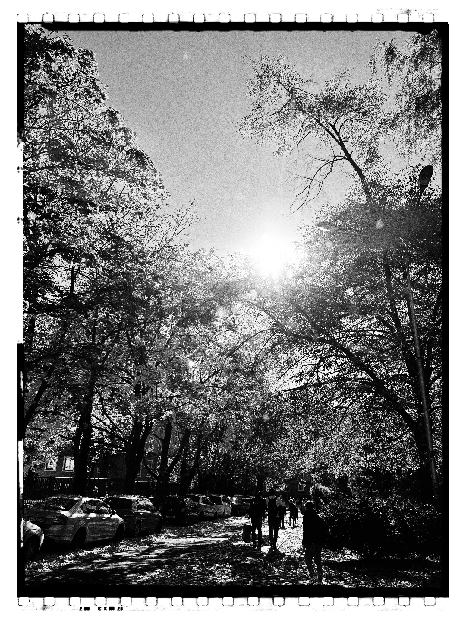 HipstamaticPhoto 782663291.983699