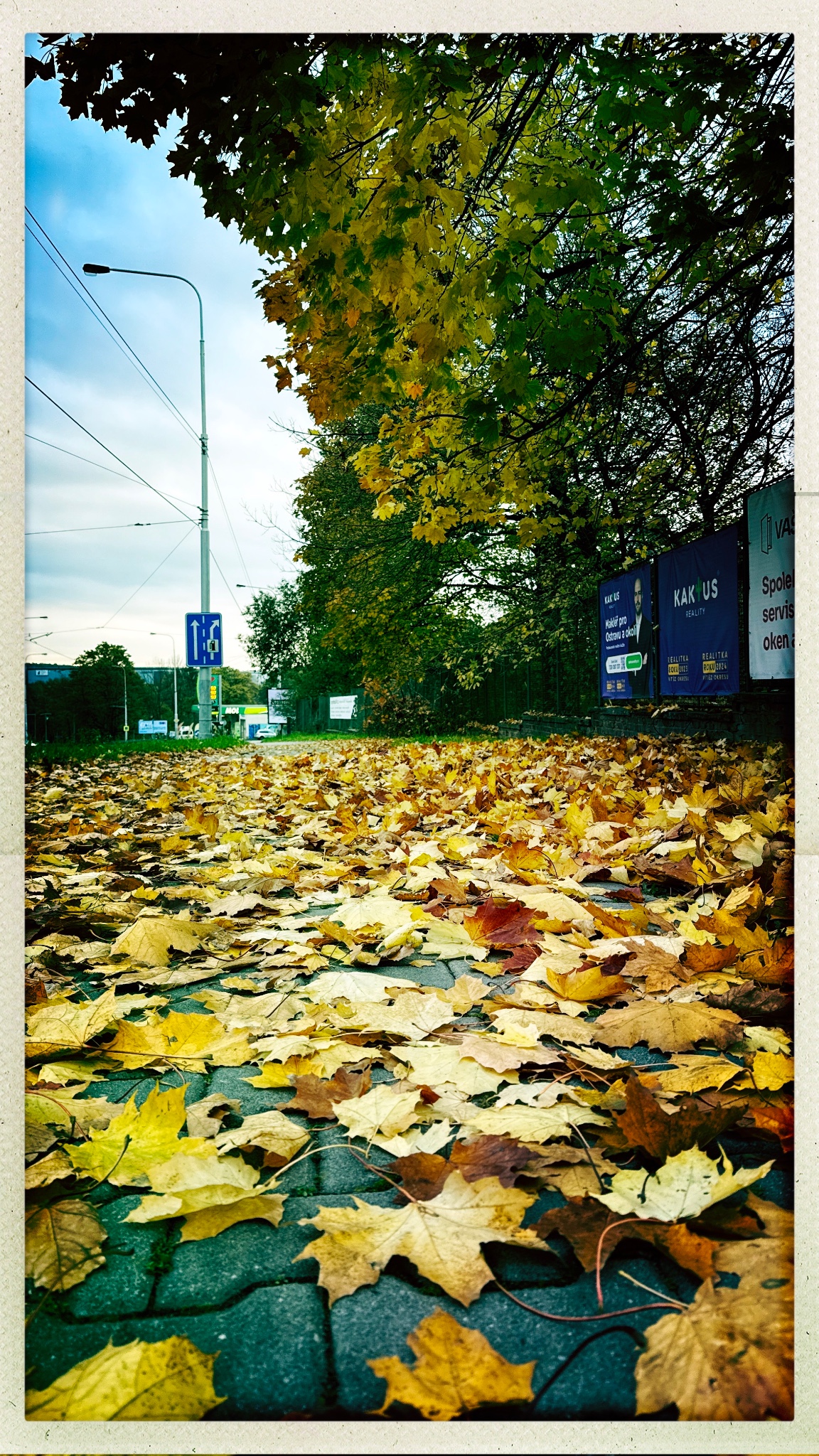 HipstamaticPhoto 782721492.655434