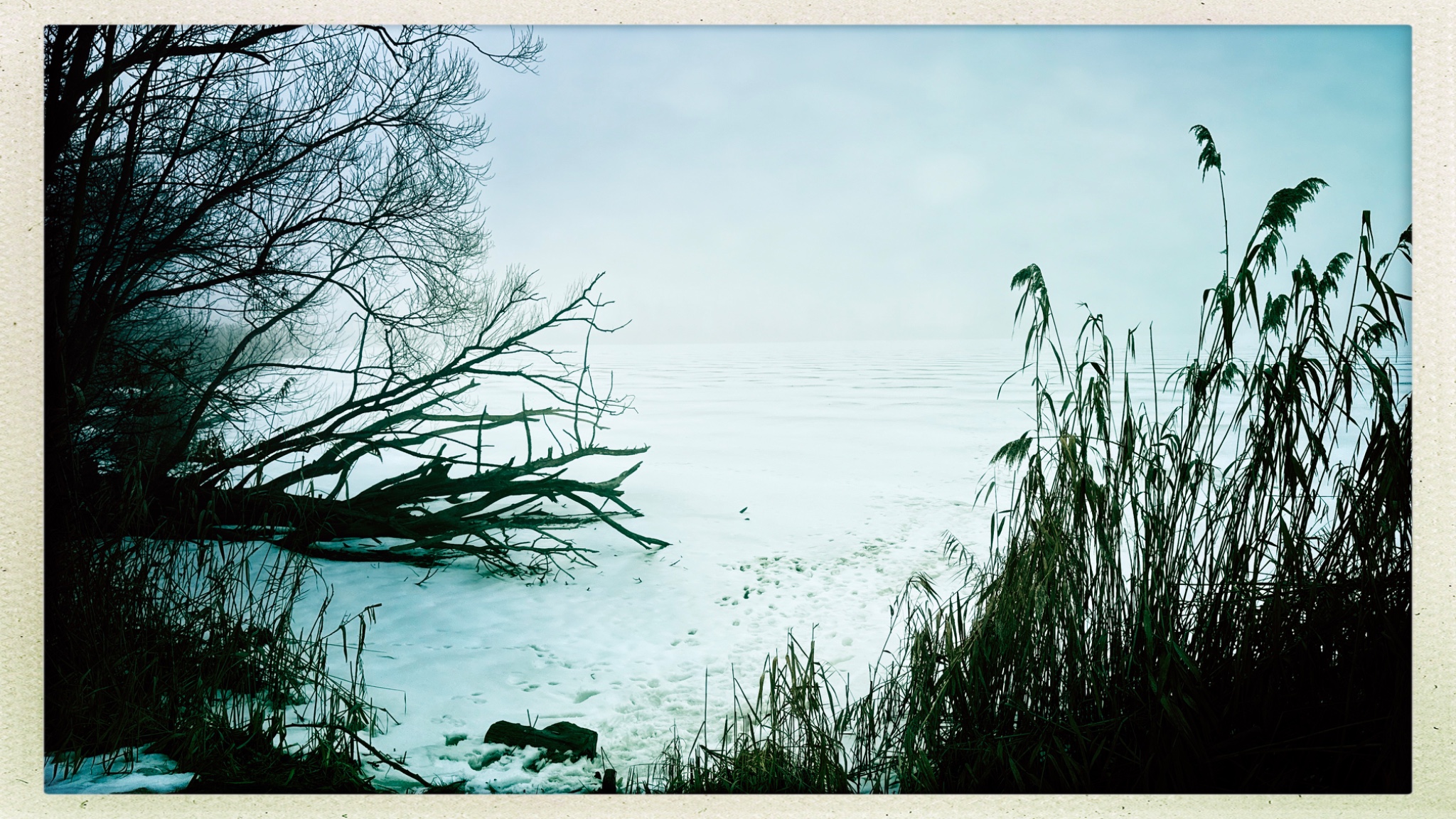 HipstamaticPhoto 790335993.614803