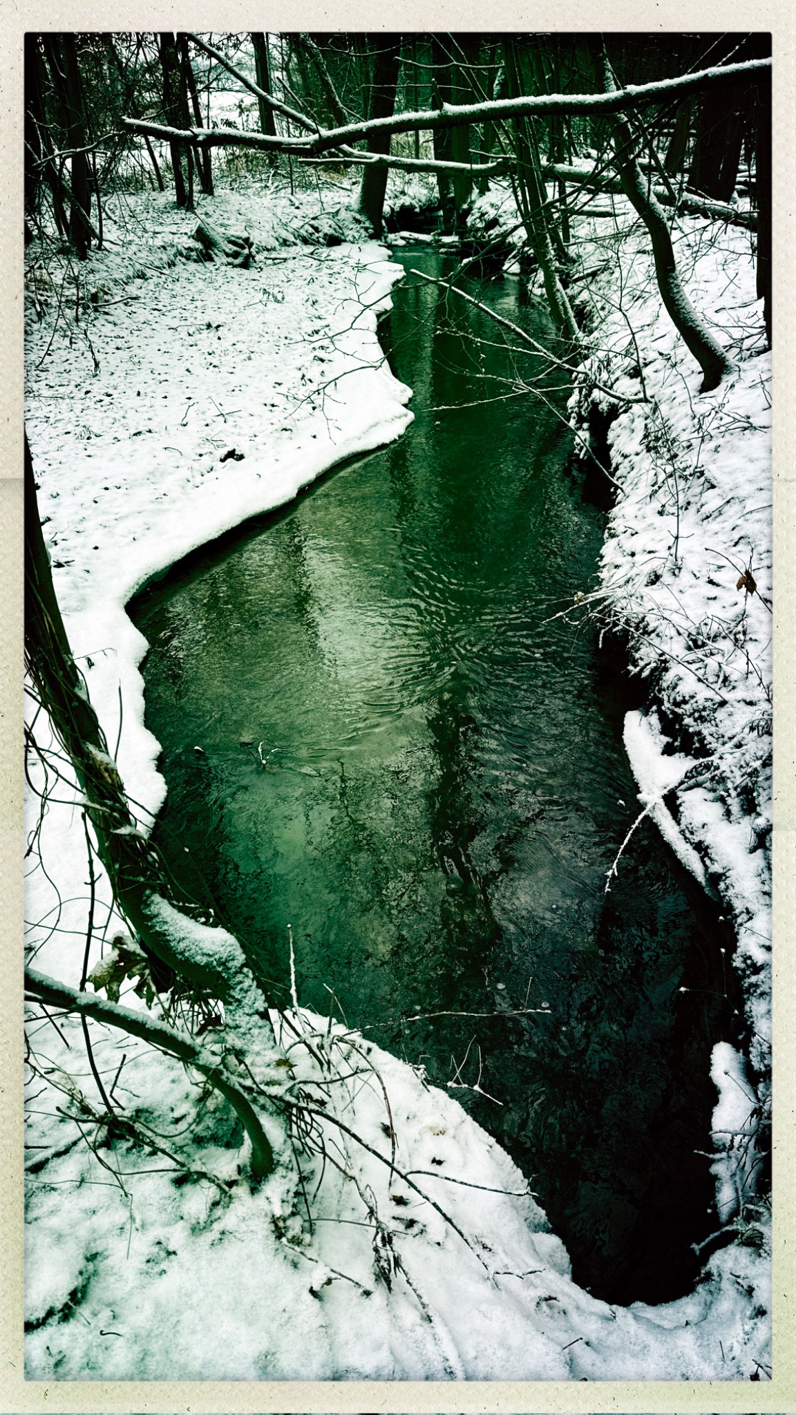 HipstamaticPhoto 792328394.668095