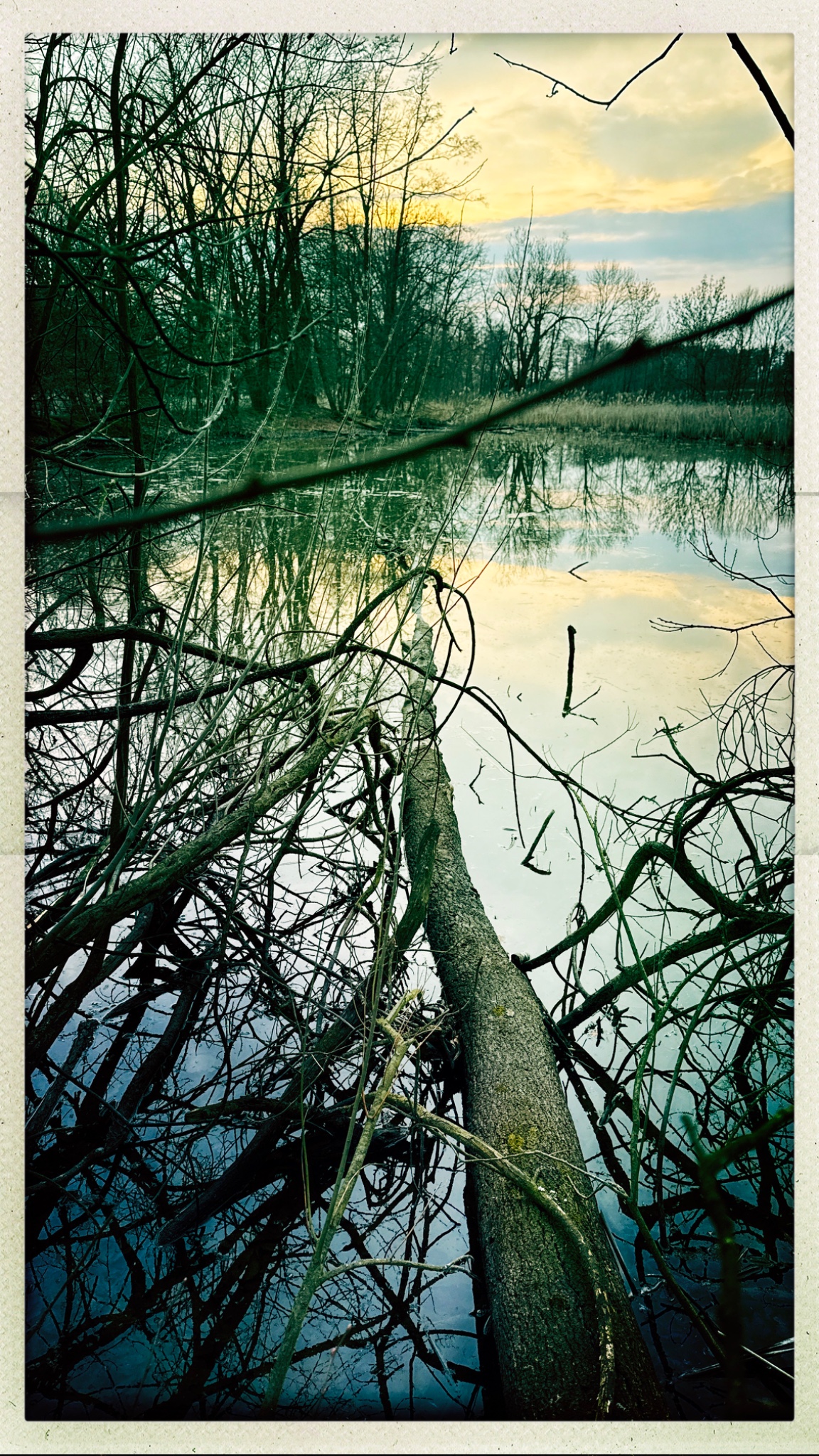 HipstamaticPhoto 794072621.479759