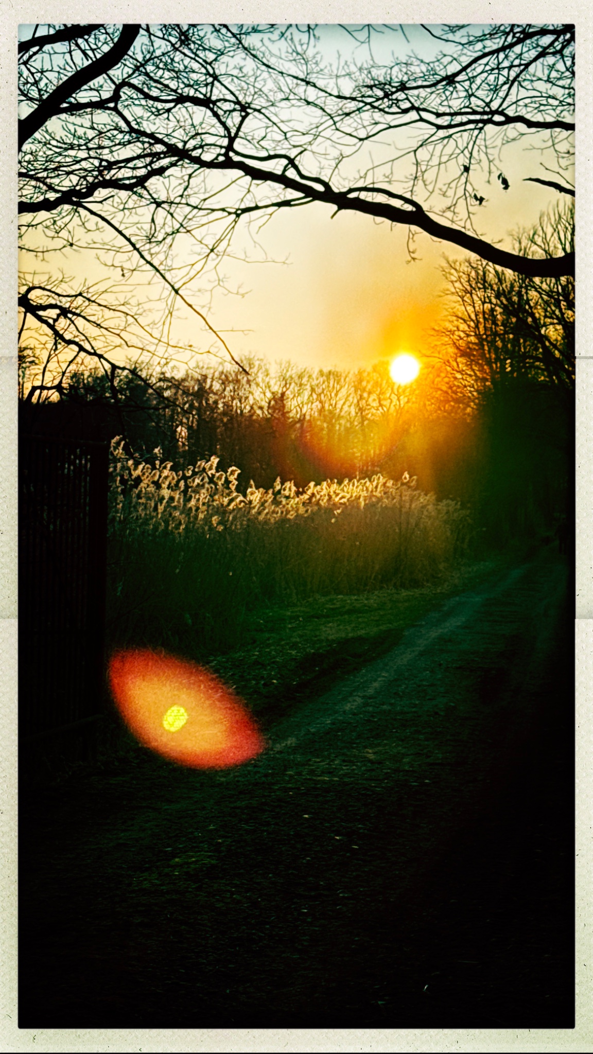 HipstamaticPhoto 794246641.351229