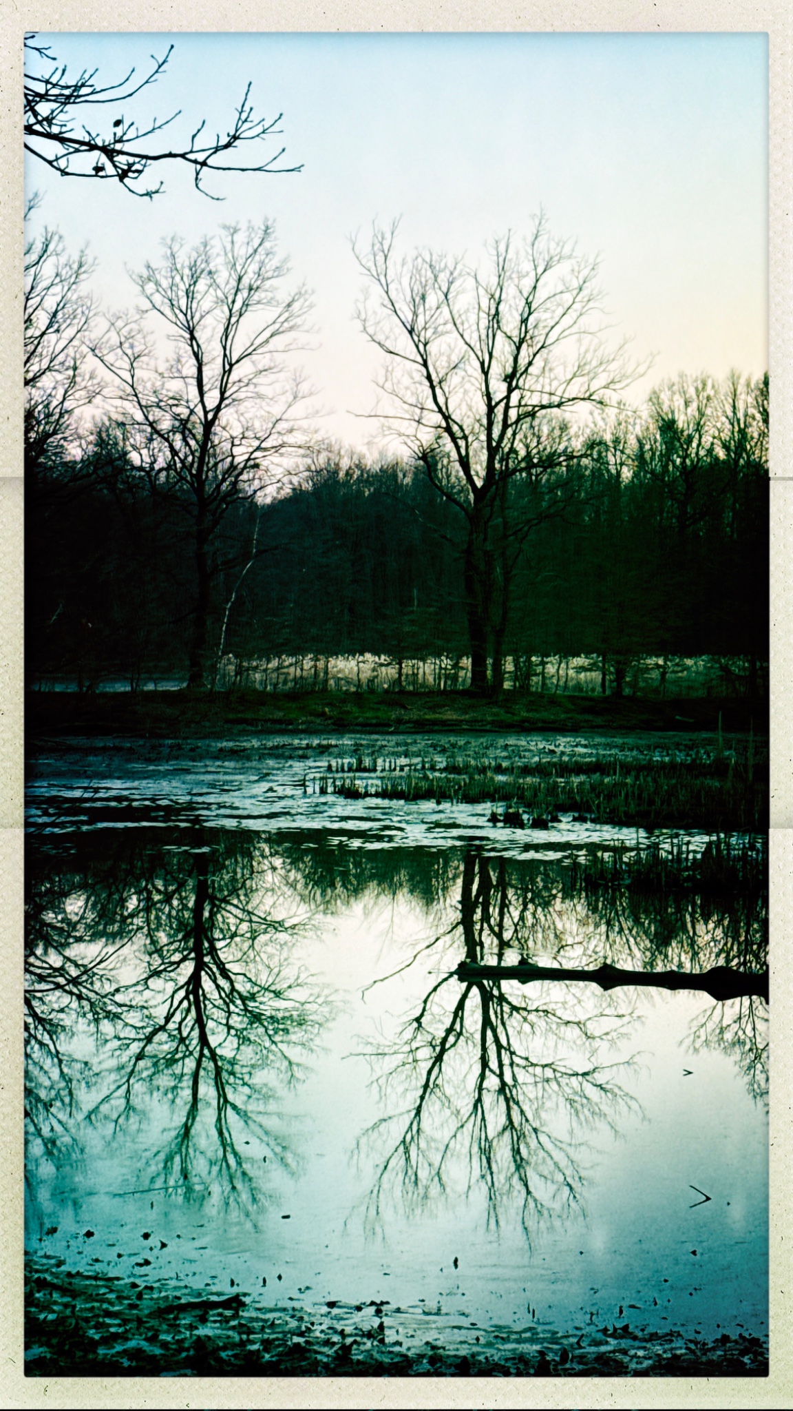 HipstamaticPhoto 794247427.182290